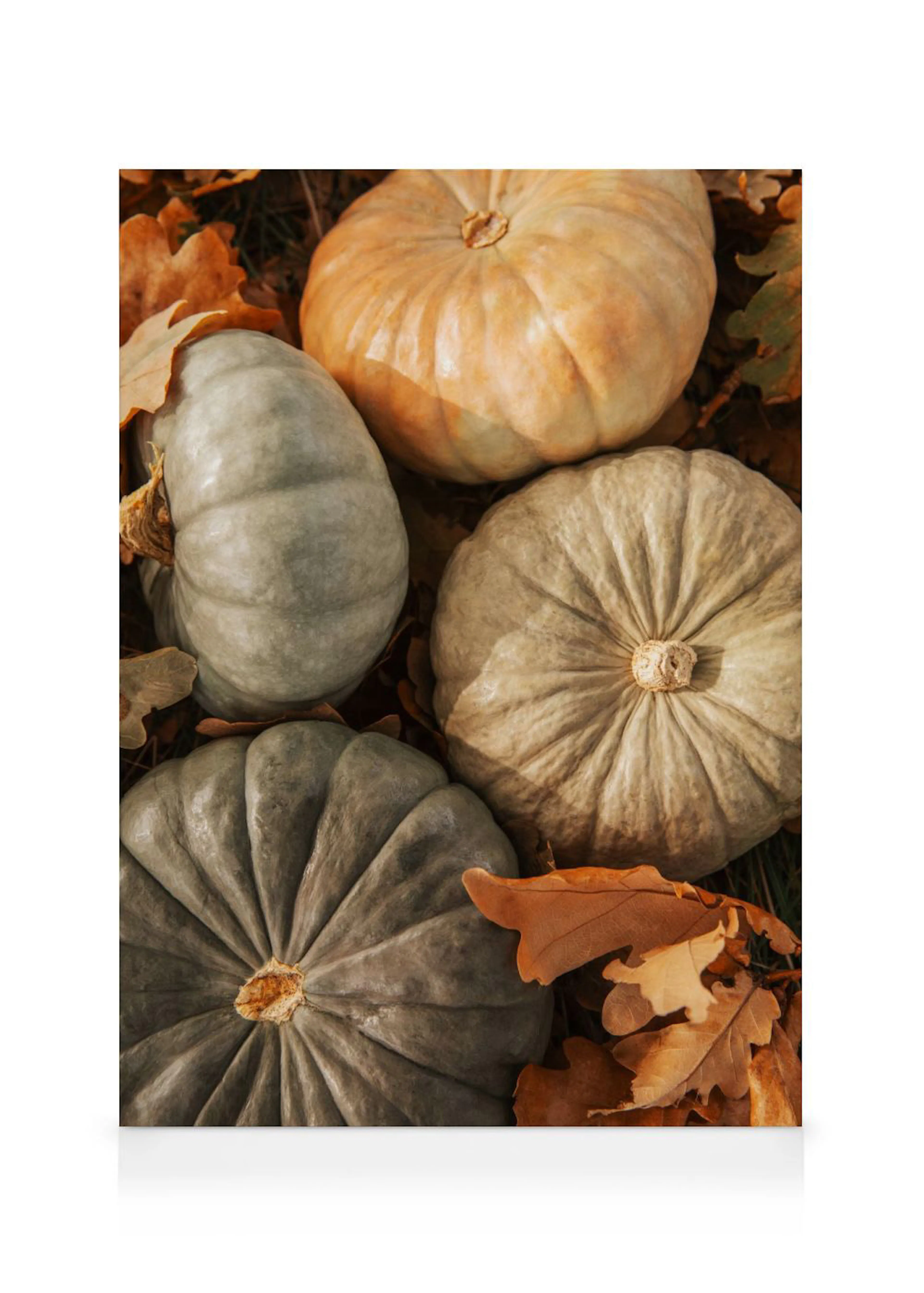 A canvas displaying a cluster of varied pumpkins and gourds in muted tones of green, gray, and orange nestled among autumn leave