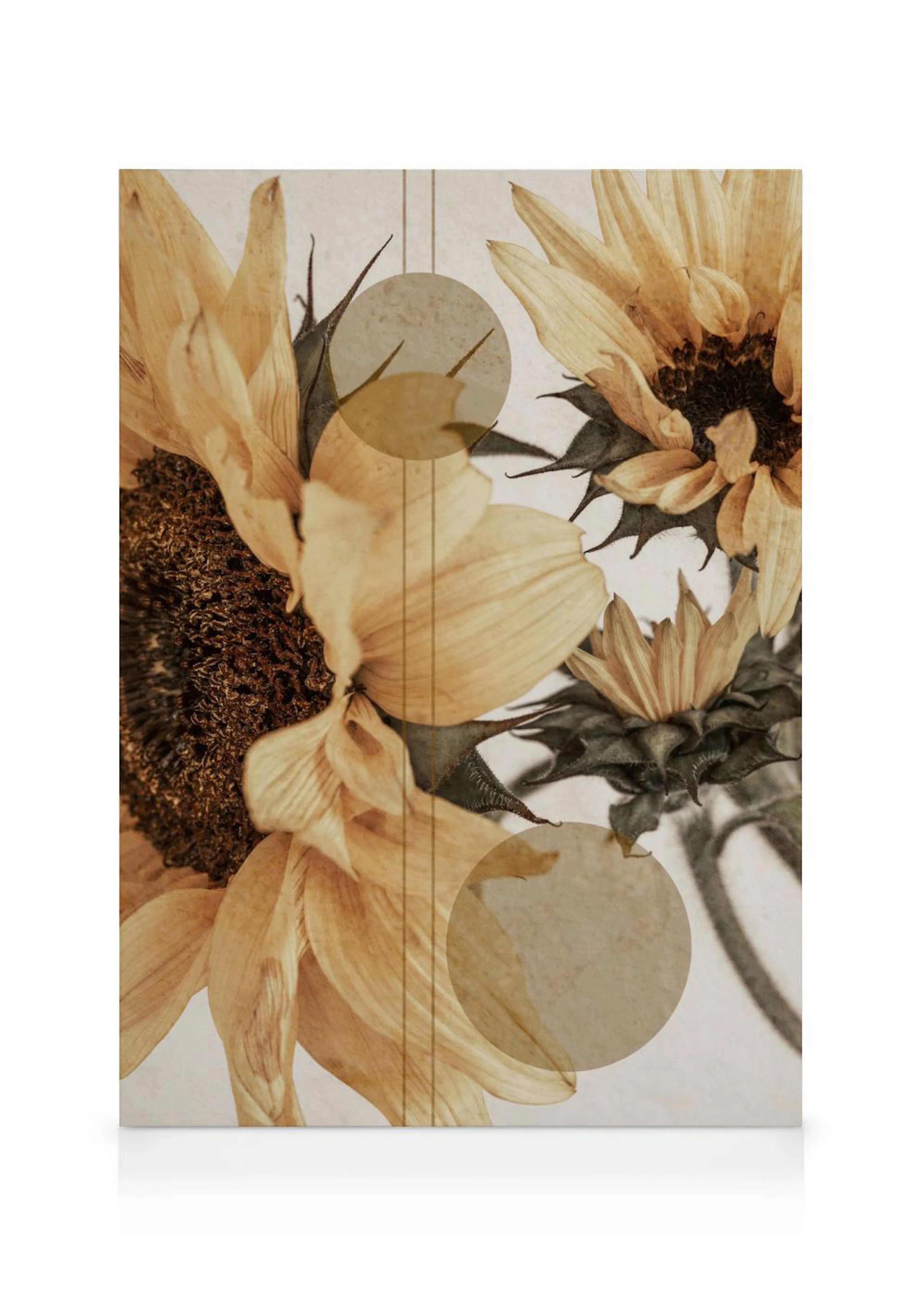 Leinwandbild mit getrockneten Sonnenblumen in warmen Beige- und Brauntönen, kombiniert mit geometrischen Kreisen und Linien.