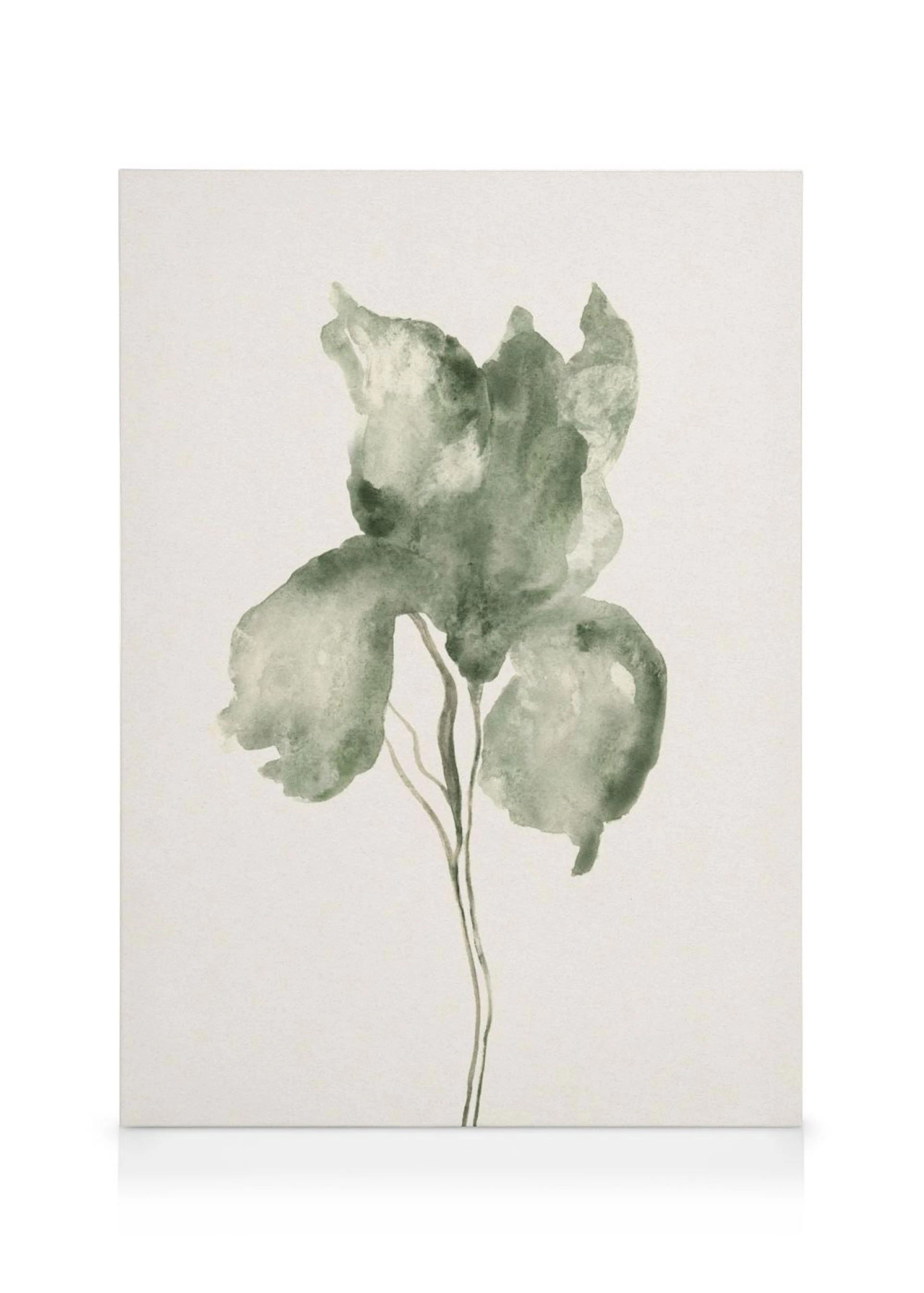 A canvas featuring a single, large green iris flower in a watercolour style on a creamy white background.