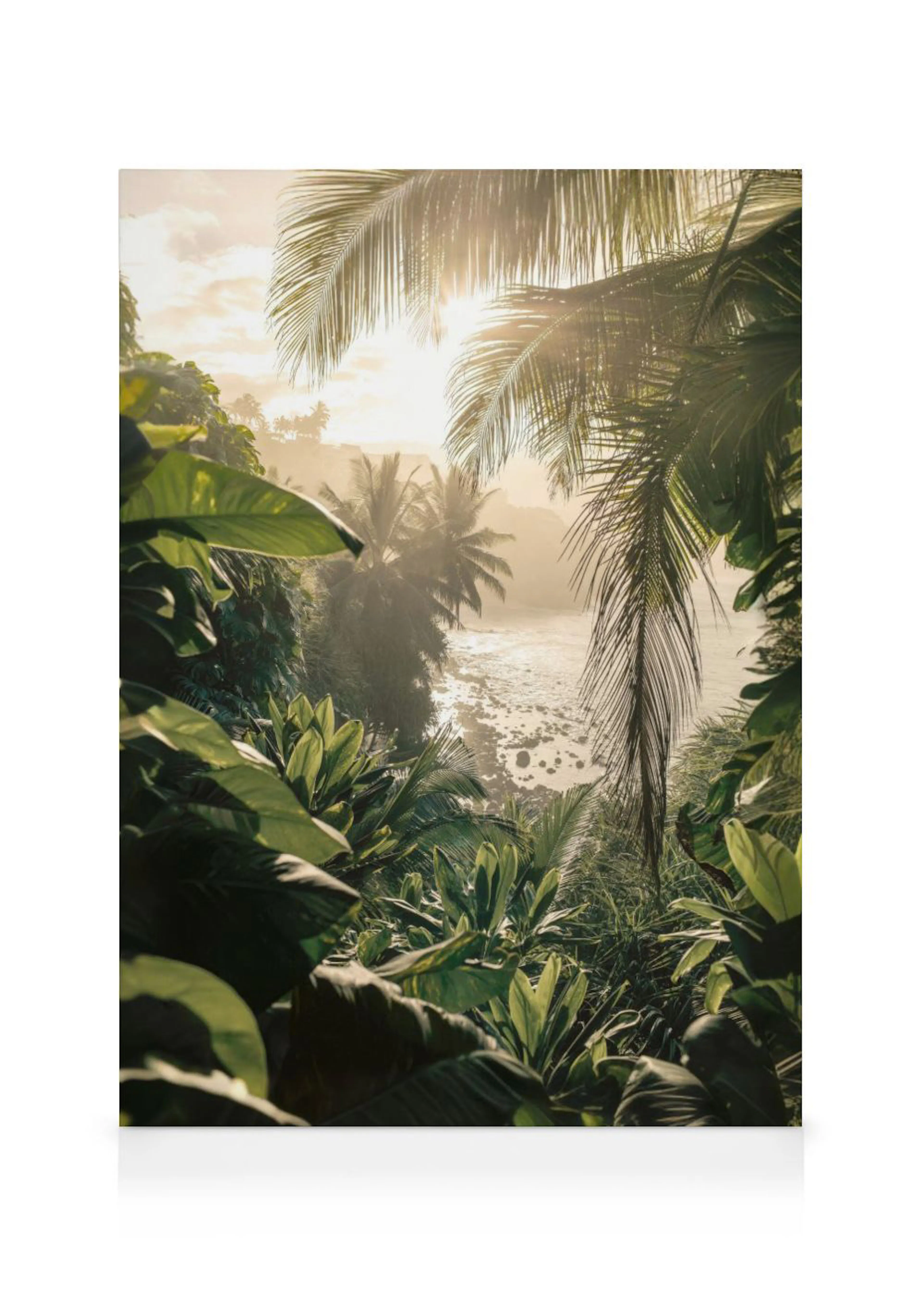 A lush tropical jungle canvas with palm trees framing a sunlit ocean and rocky shore.