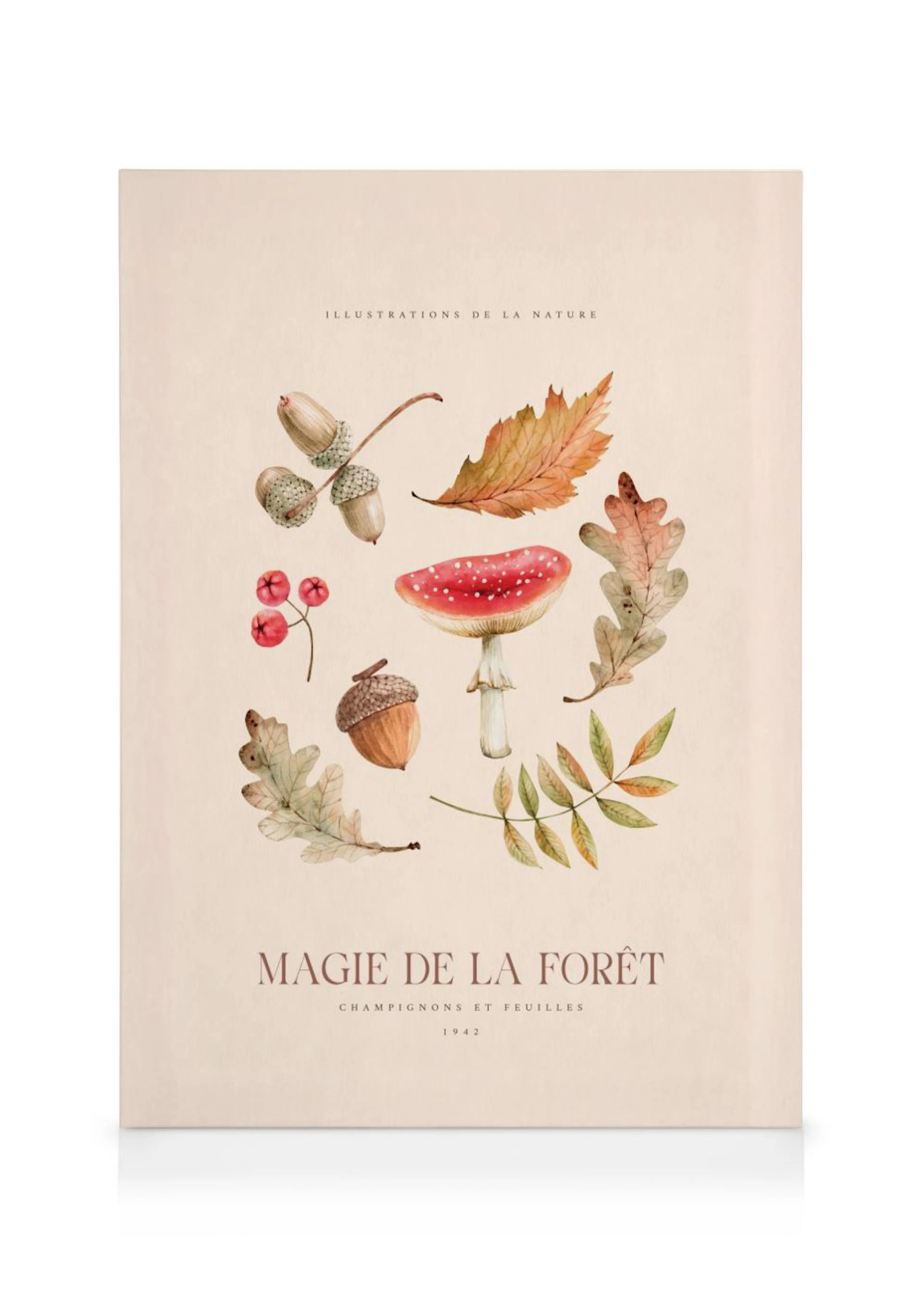 Toile de style vintage avec des illustrations botaniques de champignons, glands et feuilles dautomne.