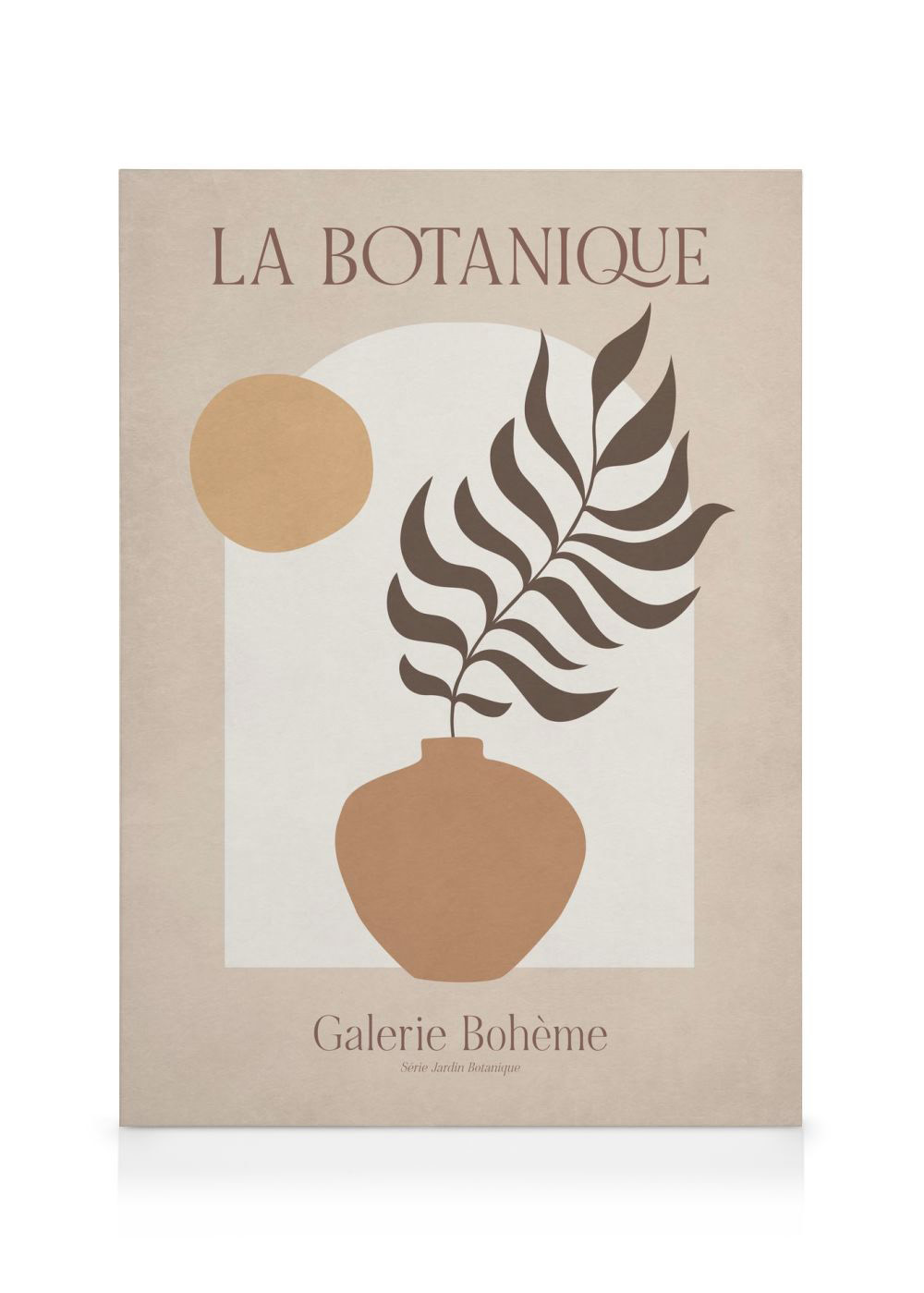 Ensemble Vectoriel D'illustrations Botaniques Abstraites | Vecteur Premium Ensemble Vectoriel D'illustrations Botaniques Abstraites | Vecteur Premium