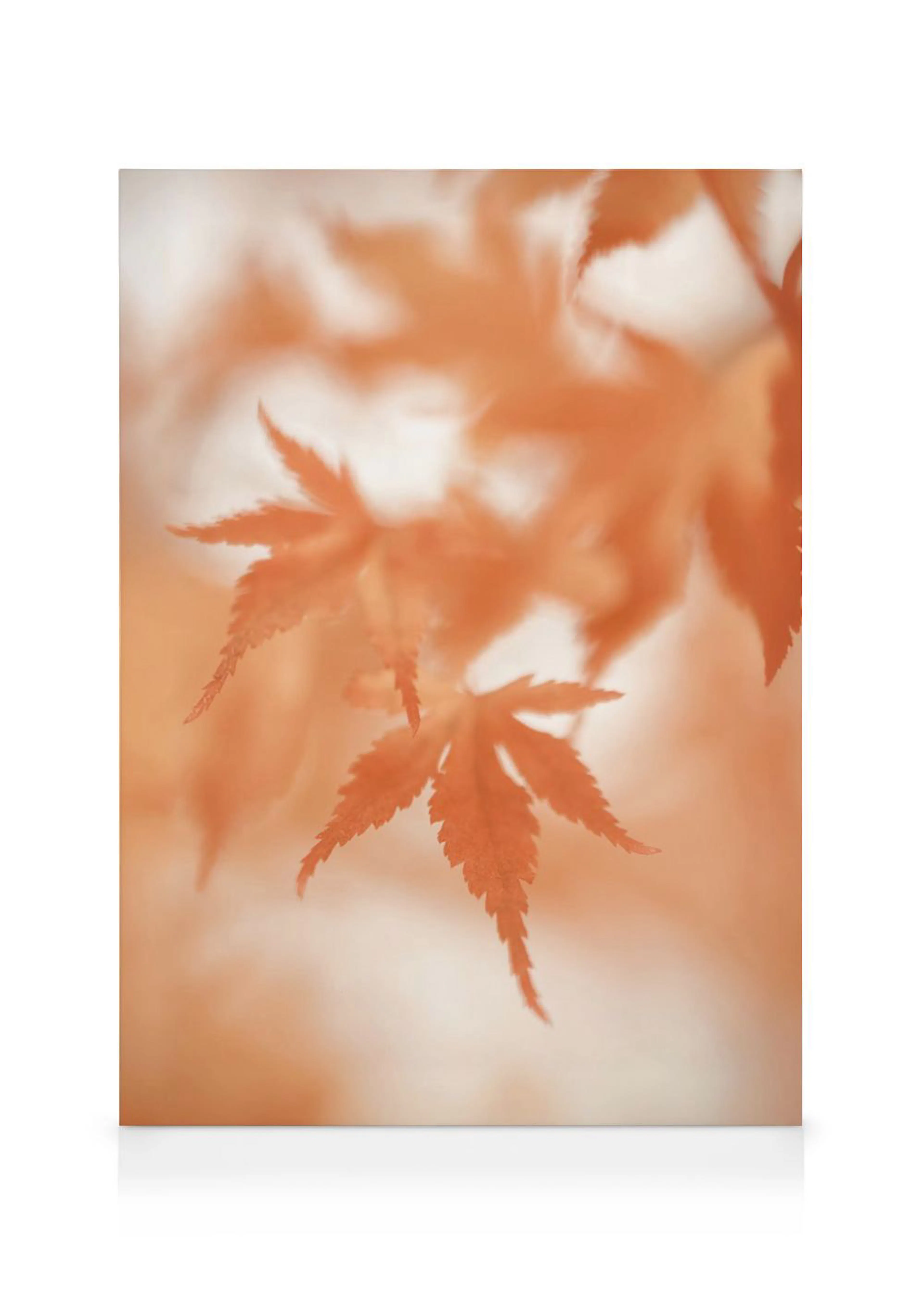 Canvas met een close-up van oranje esdoornbladeren, deels scherp, deels wazig op de achtergrond.
