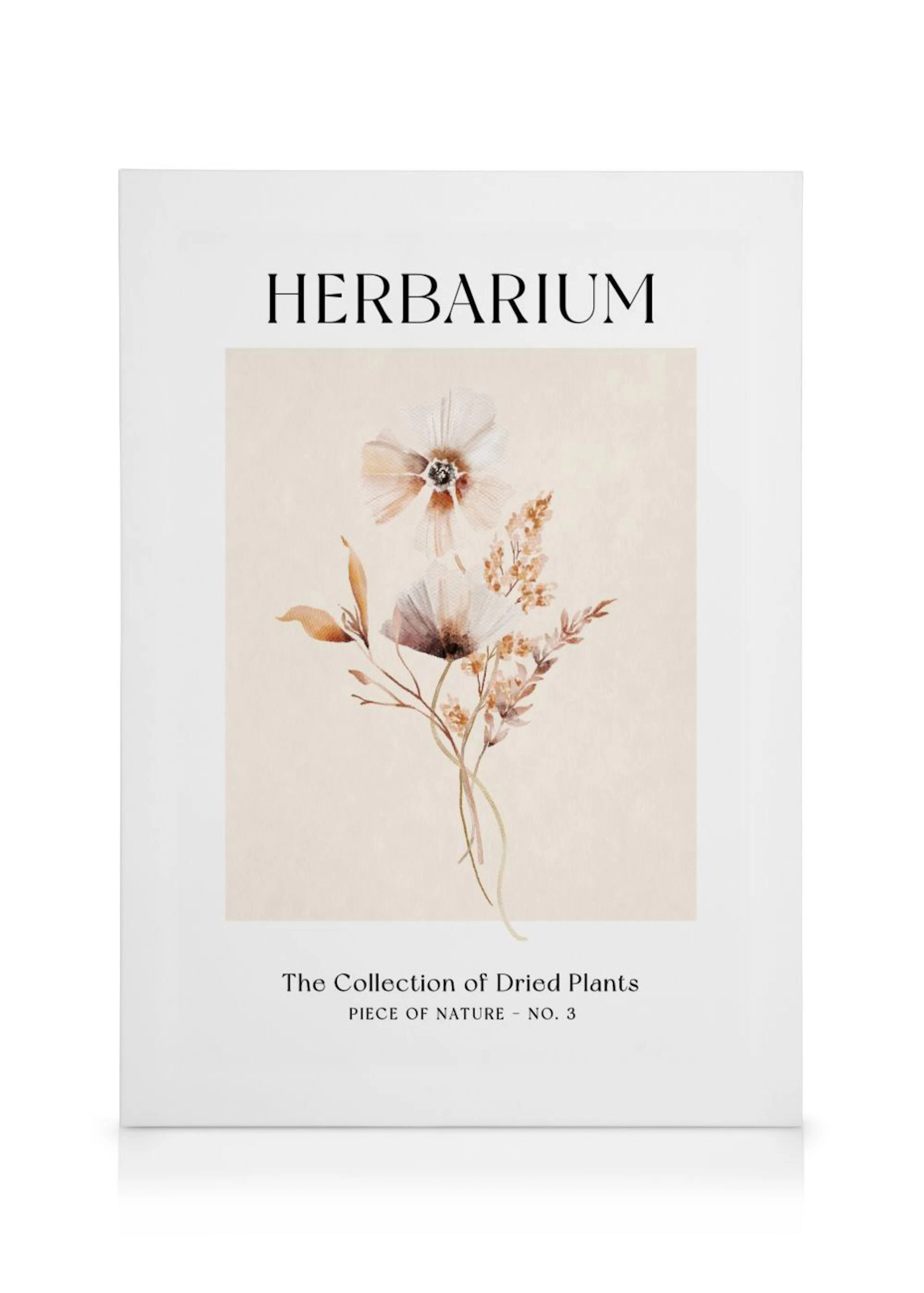 Leinwandbild mit getrockneten Pflanzen auf hellem Hintergrund, darunter der Titel HERBARIUM und The Collection of Dried Plants.