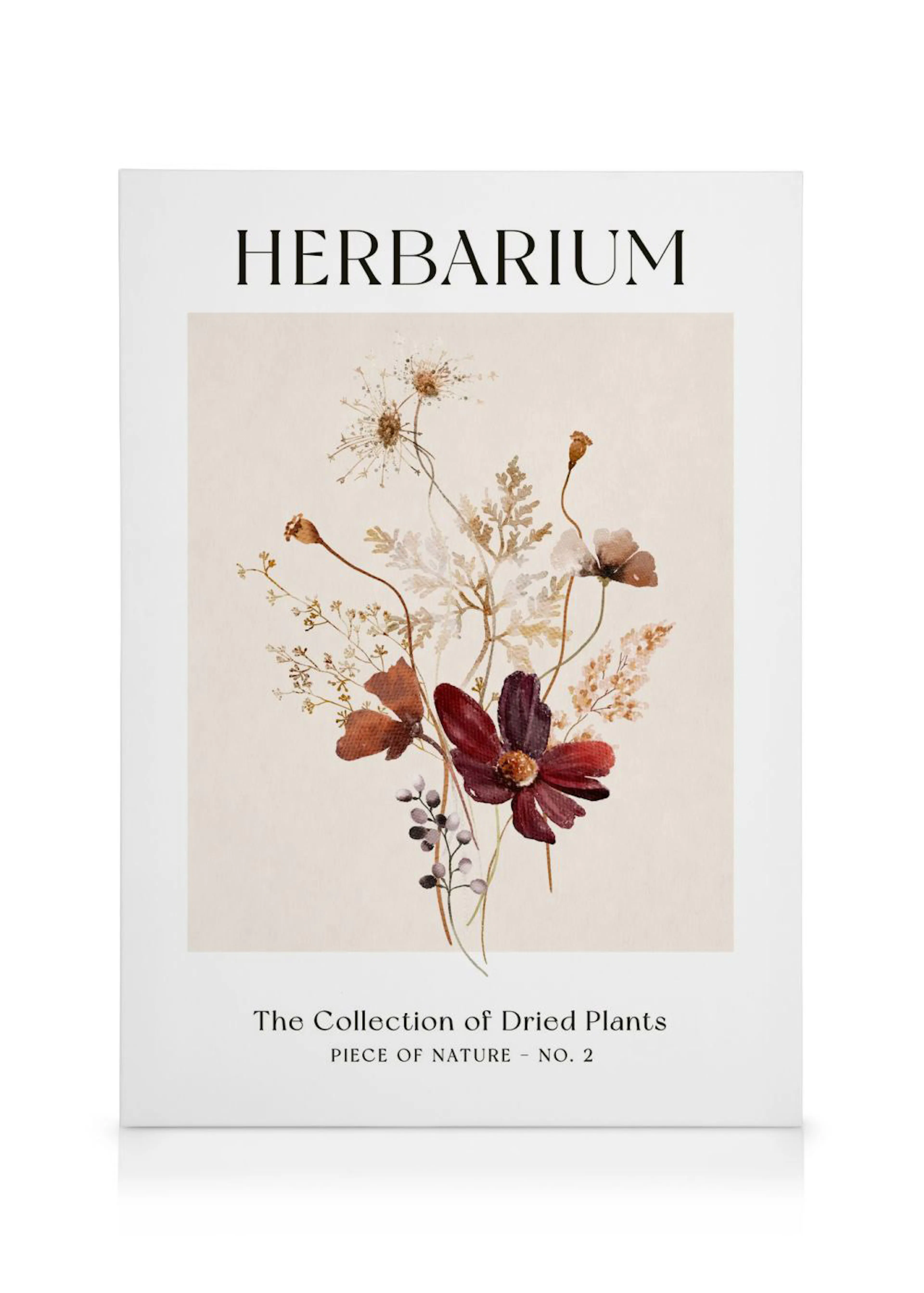 Canvas met een botanische print van gedroogde planten, waaronder rode bloemen en beige grassen, op een lichte achtergrond.