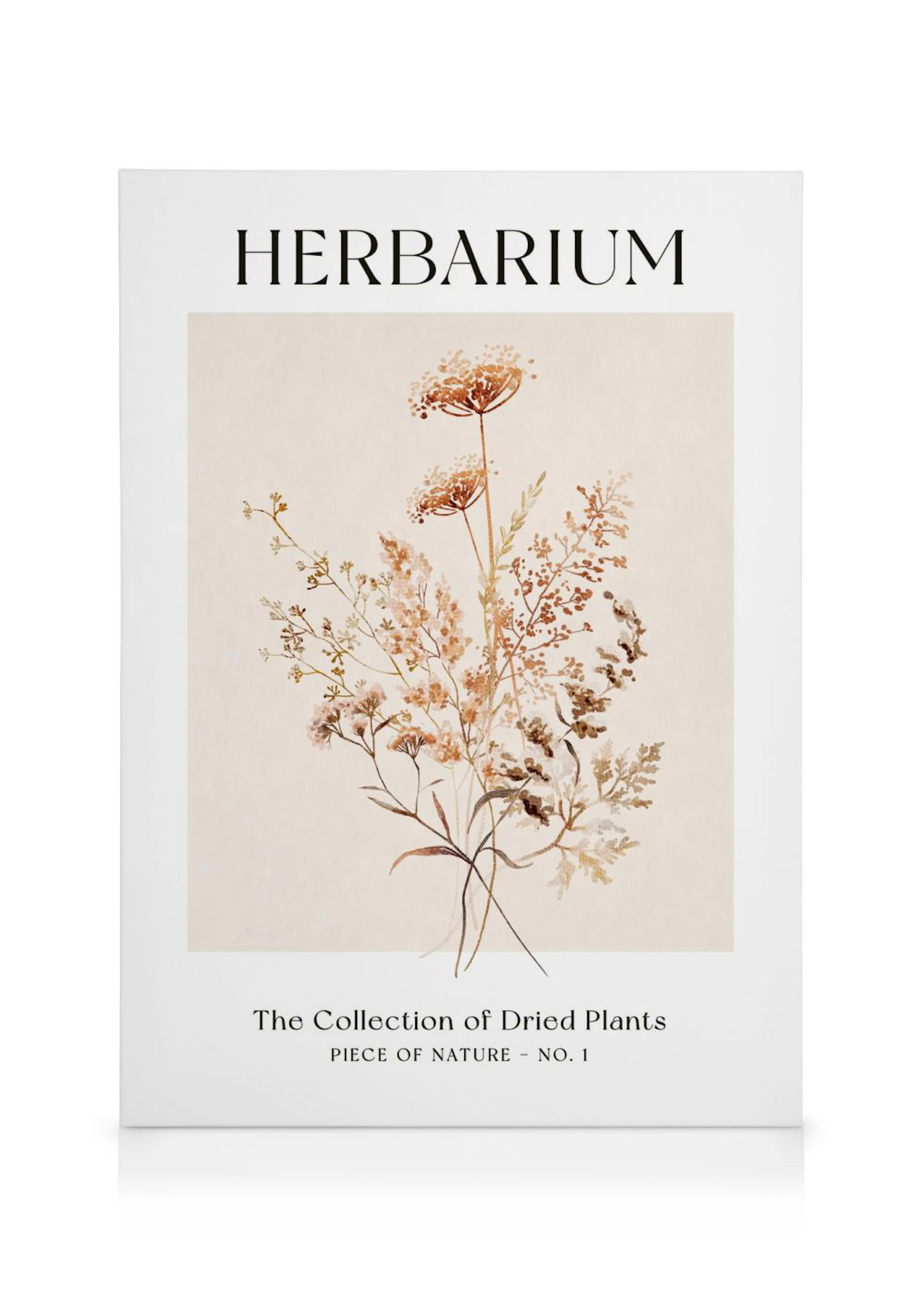 A canvas featuring a HERBARIUM print with a vintage-style illustration of dried plants and flowers in warm brown and beige tones