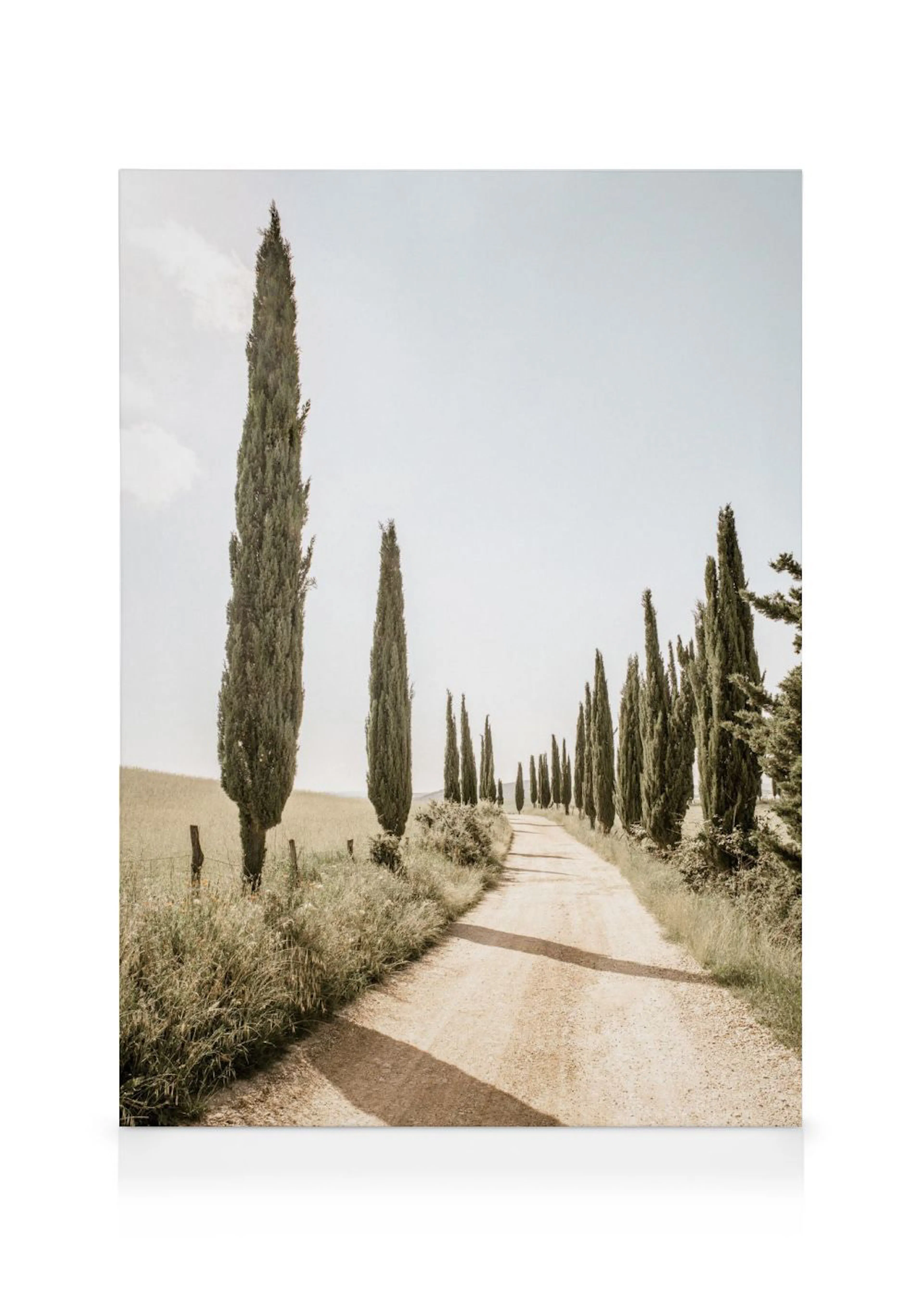 A canvas showing a dirt road lined with tall, slender cypress trees receding into the distance under a pale sky.