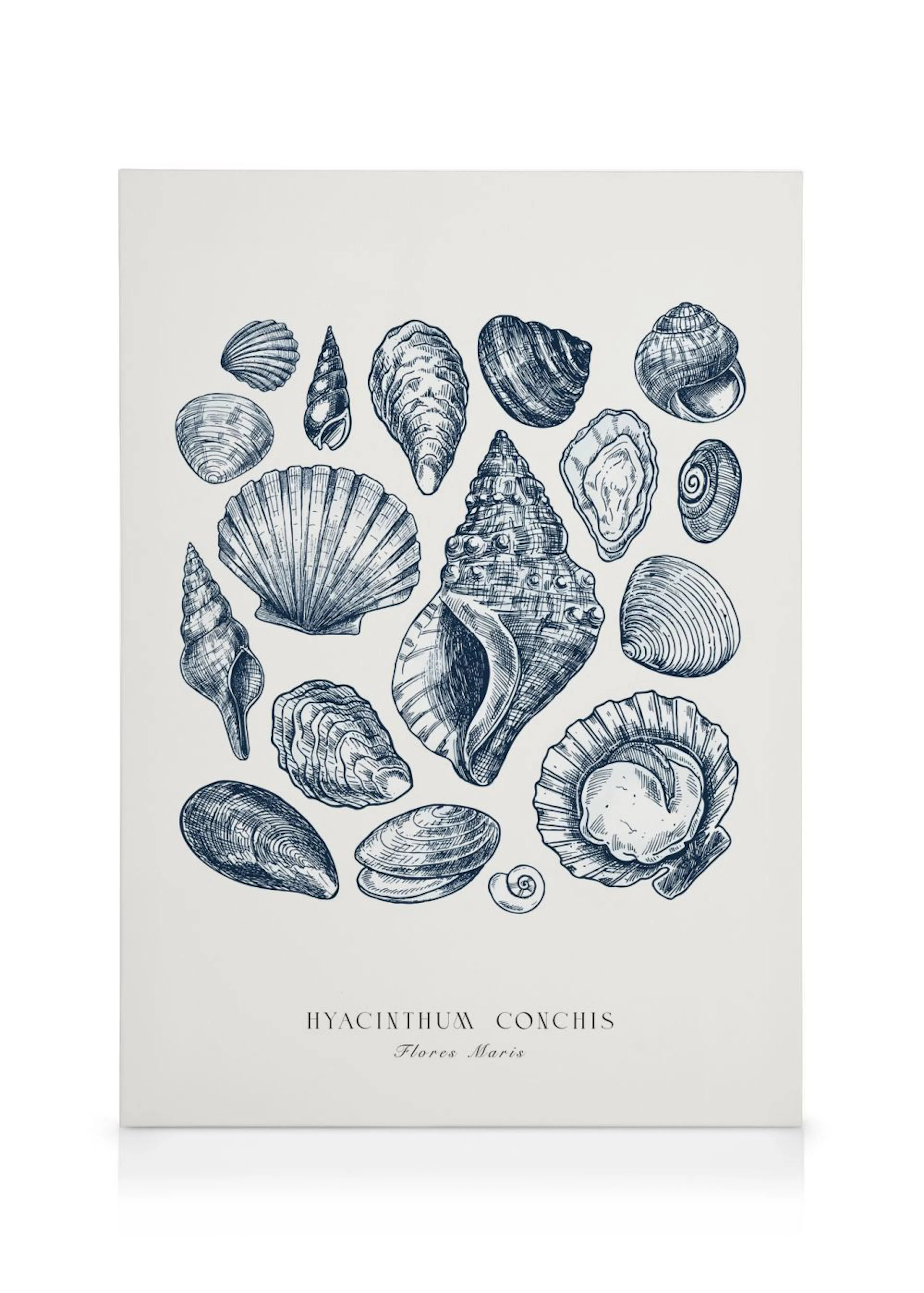 Een canvas met een vintage marineblauwe illustratie van diverse schelpen en oesters op een lichte achtergrond.