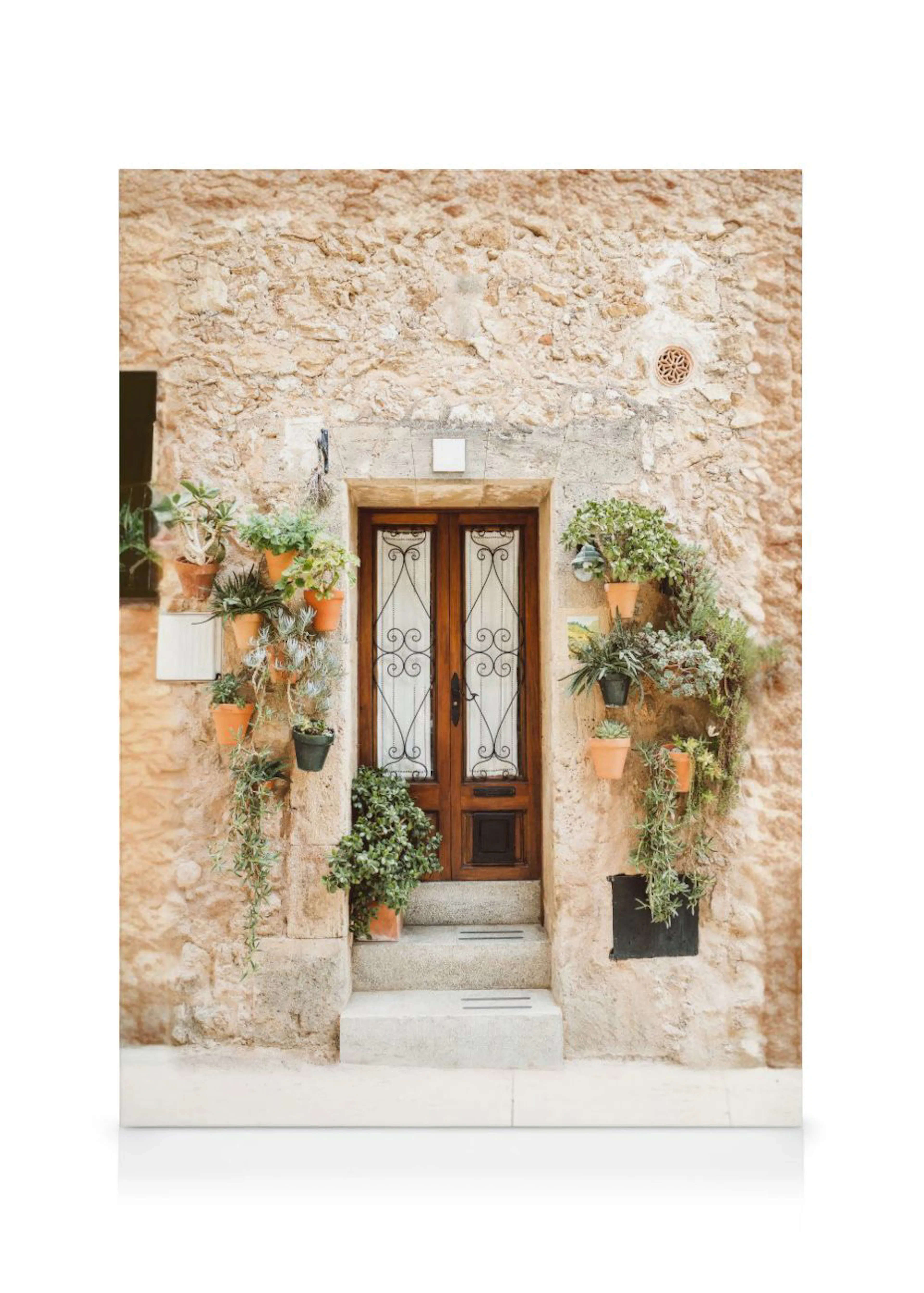 Leinwandbild einer mediterranen Haustür mit Steinfassade und zahlreichen grünen Pflanzen in Terrakotta-Töpfen.