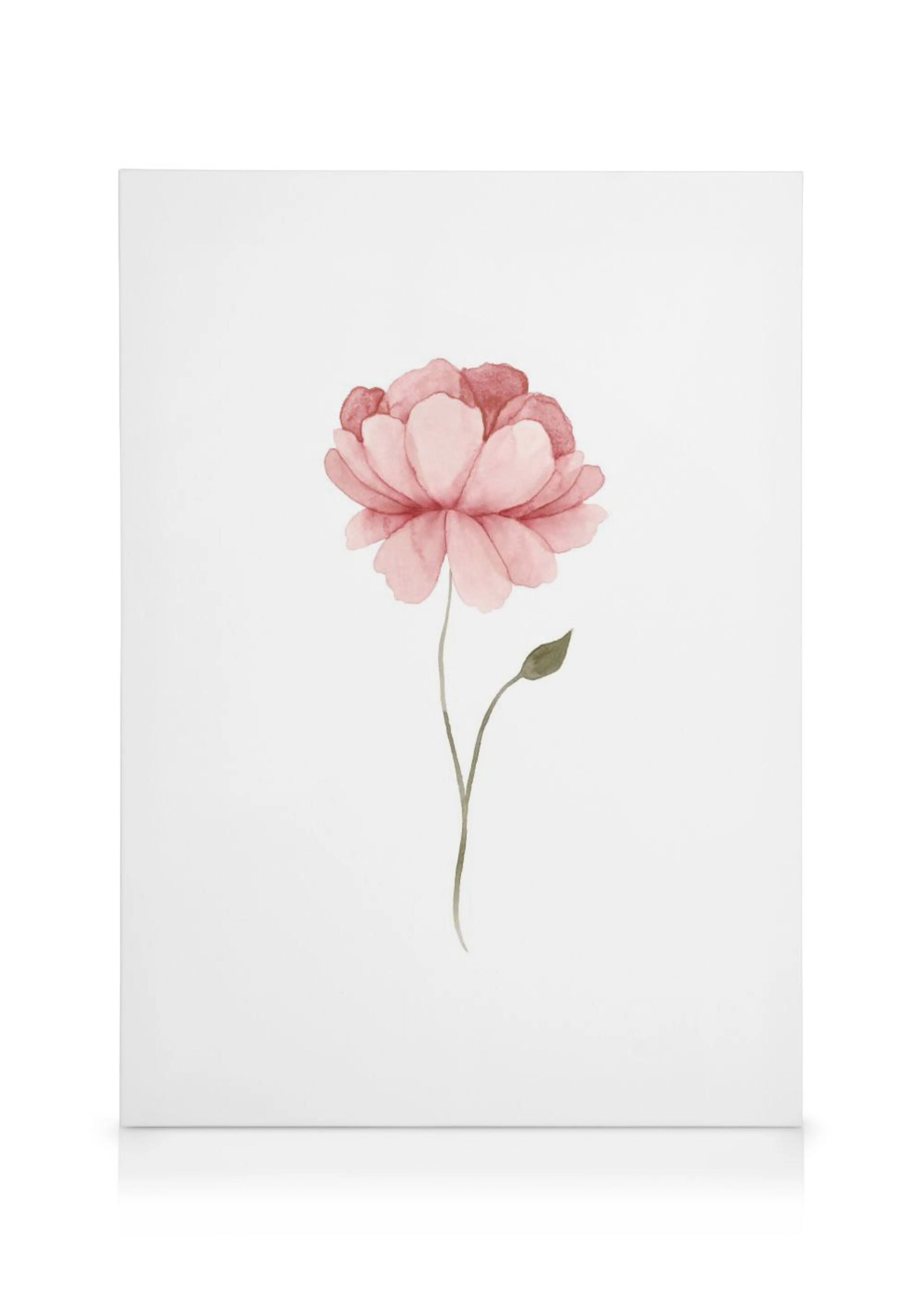 A watercolor canvas print featuring a single delicate pink peony flower with a green stem and leaf on a white background.