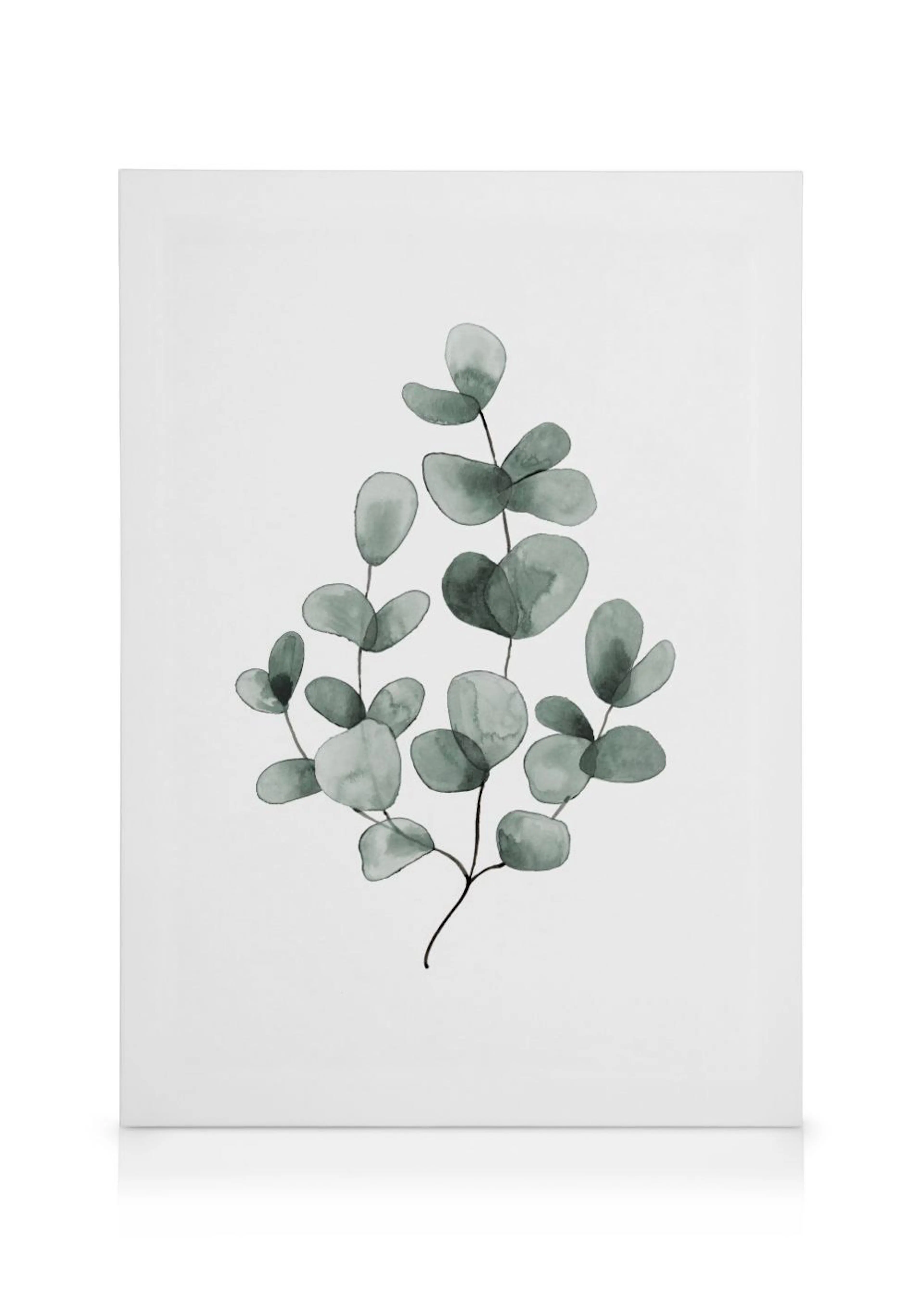 A minimalist canvas depicting watercolor eucalyptus leaves in muted green tones on a white background.