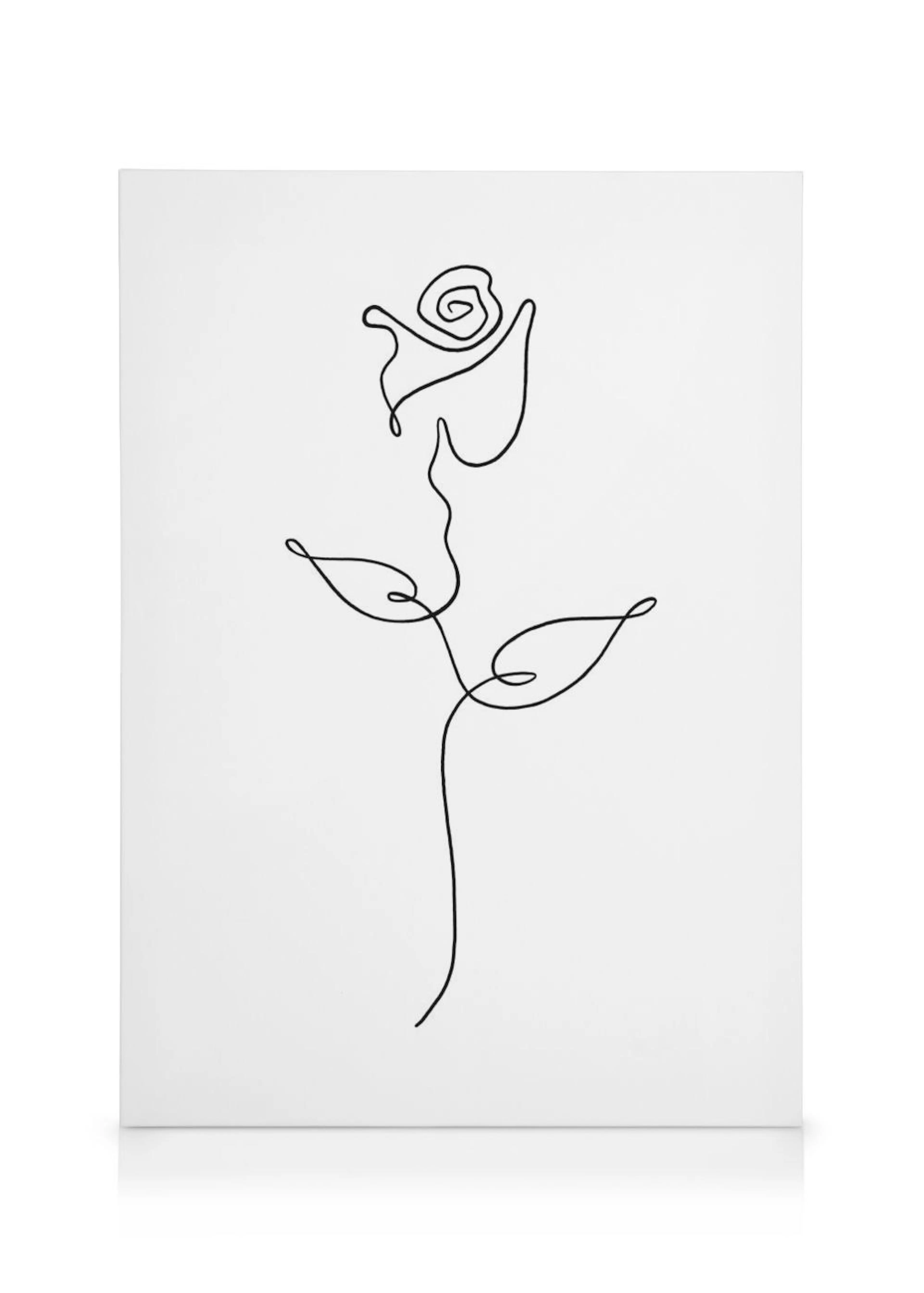 Leinwandbild mit einer einzelnen, durchgehenden schwarzen Linie, die eine Rose mit Blüten und Blättern auf weißem Hintergrund da