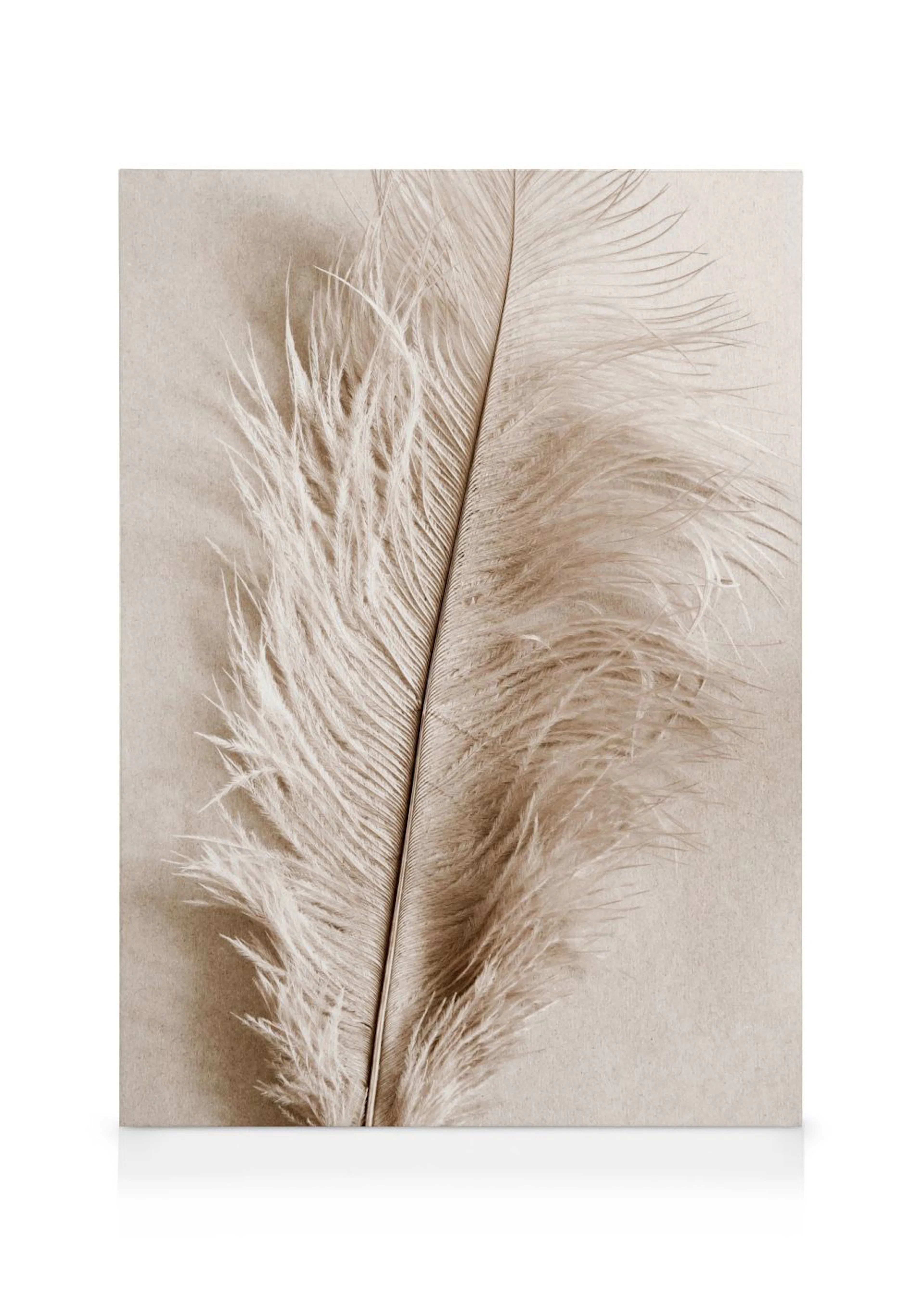 A sepia-toned canvas featuring a close-up of a delicate feather with soft, wispy plumes.