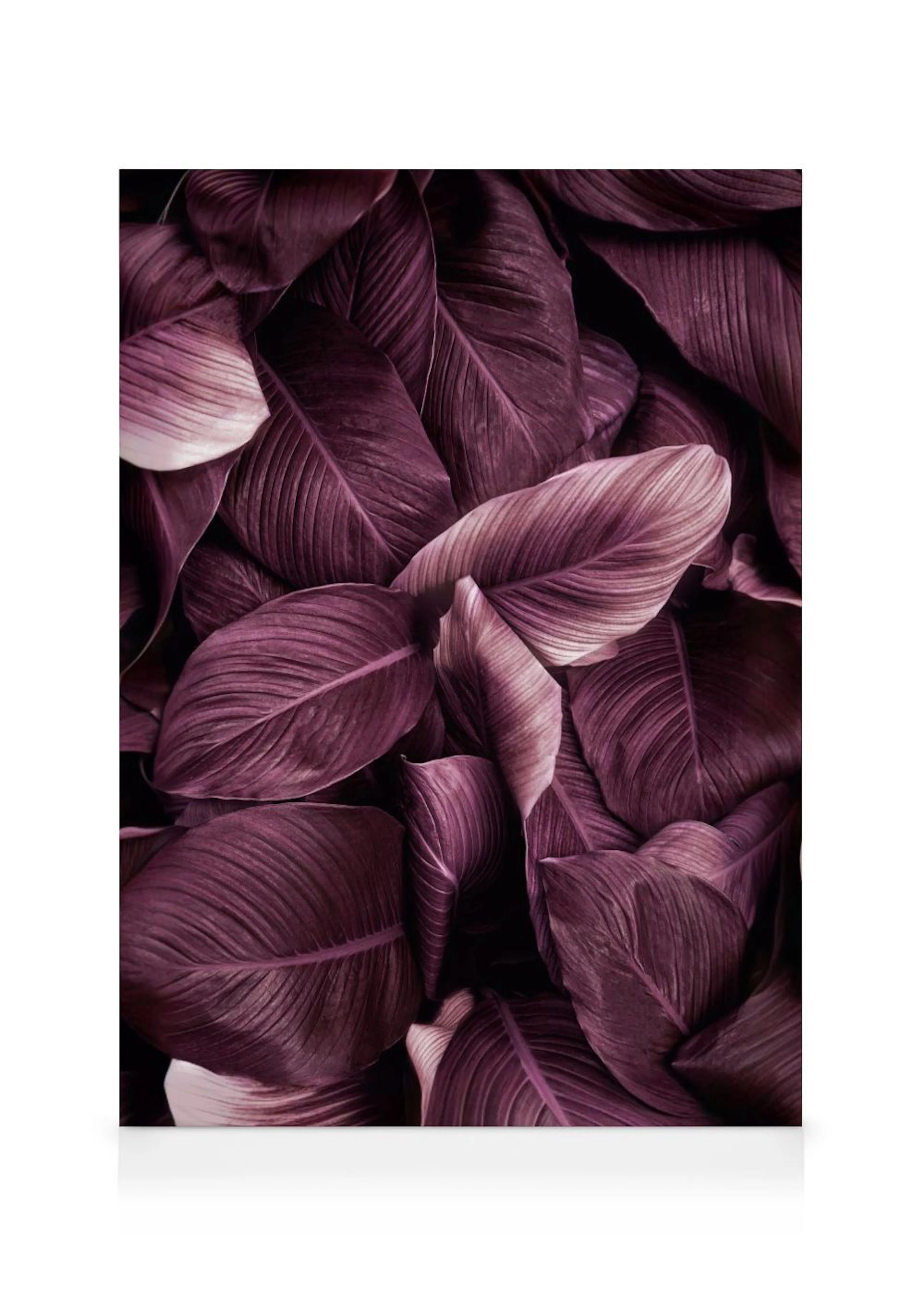 Toile murale de feuilles de bananier violet foncé et aubergine aux reflets clairs.