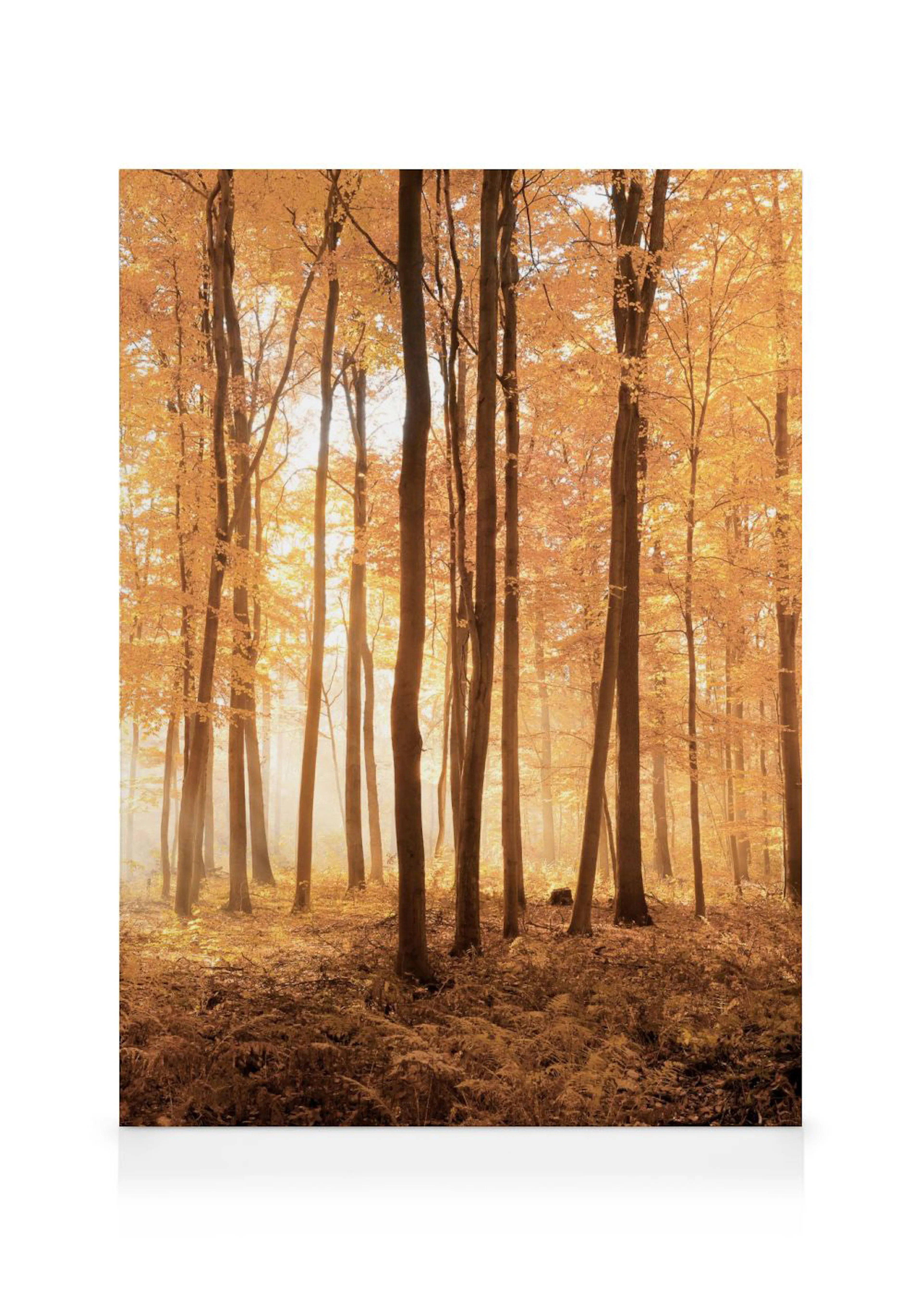 Toile de forêt dautomne avec des arbres aux feuilles jaune-orangé et une lumière brumeuse.