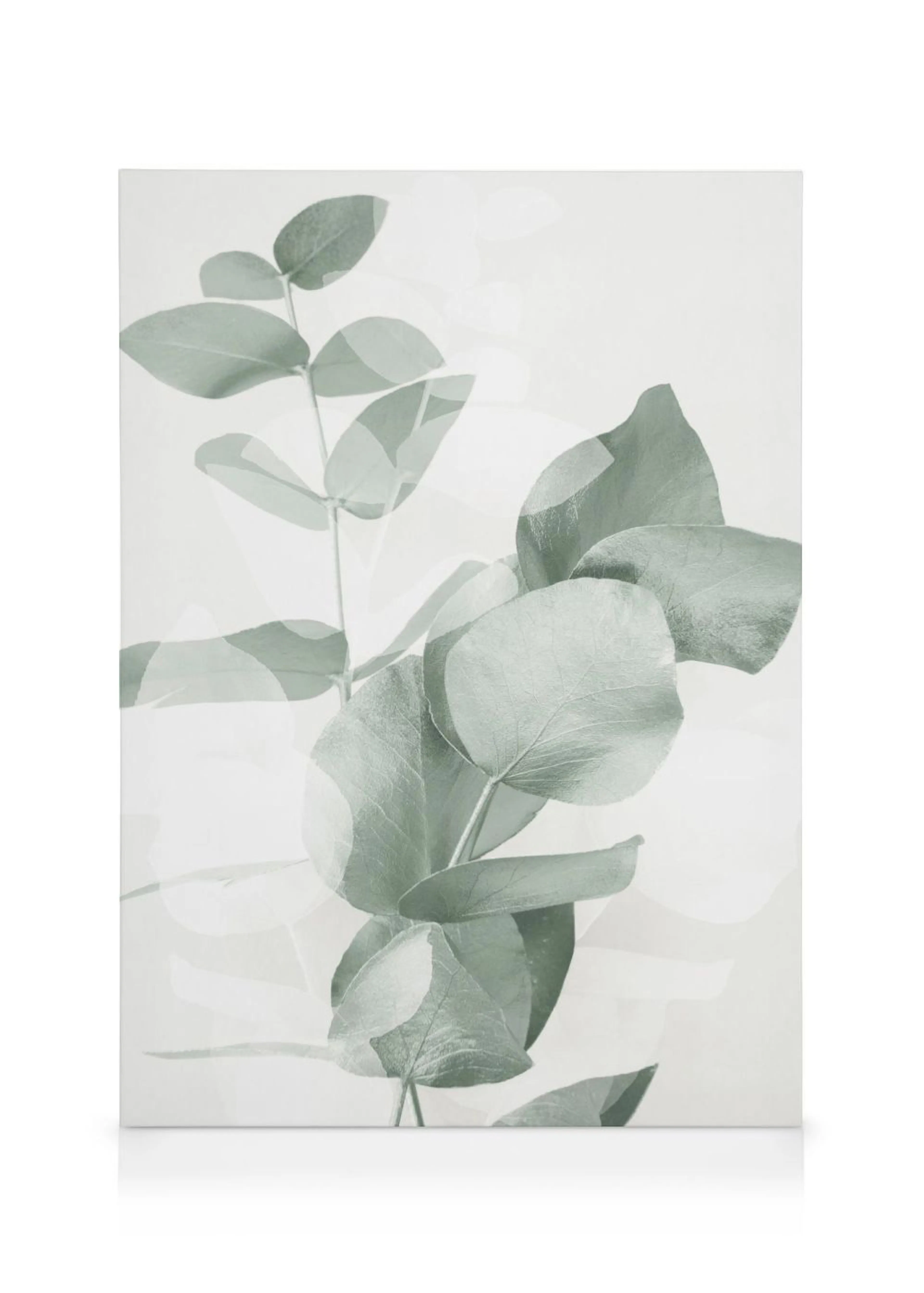 Toile représentant des feuilles deucalyptus vert sauge sur un fond clair, avec des formes floues en arrière-plan.