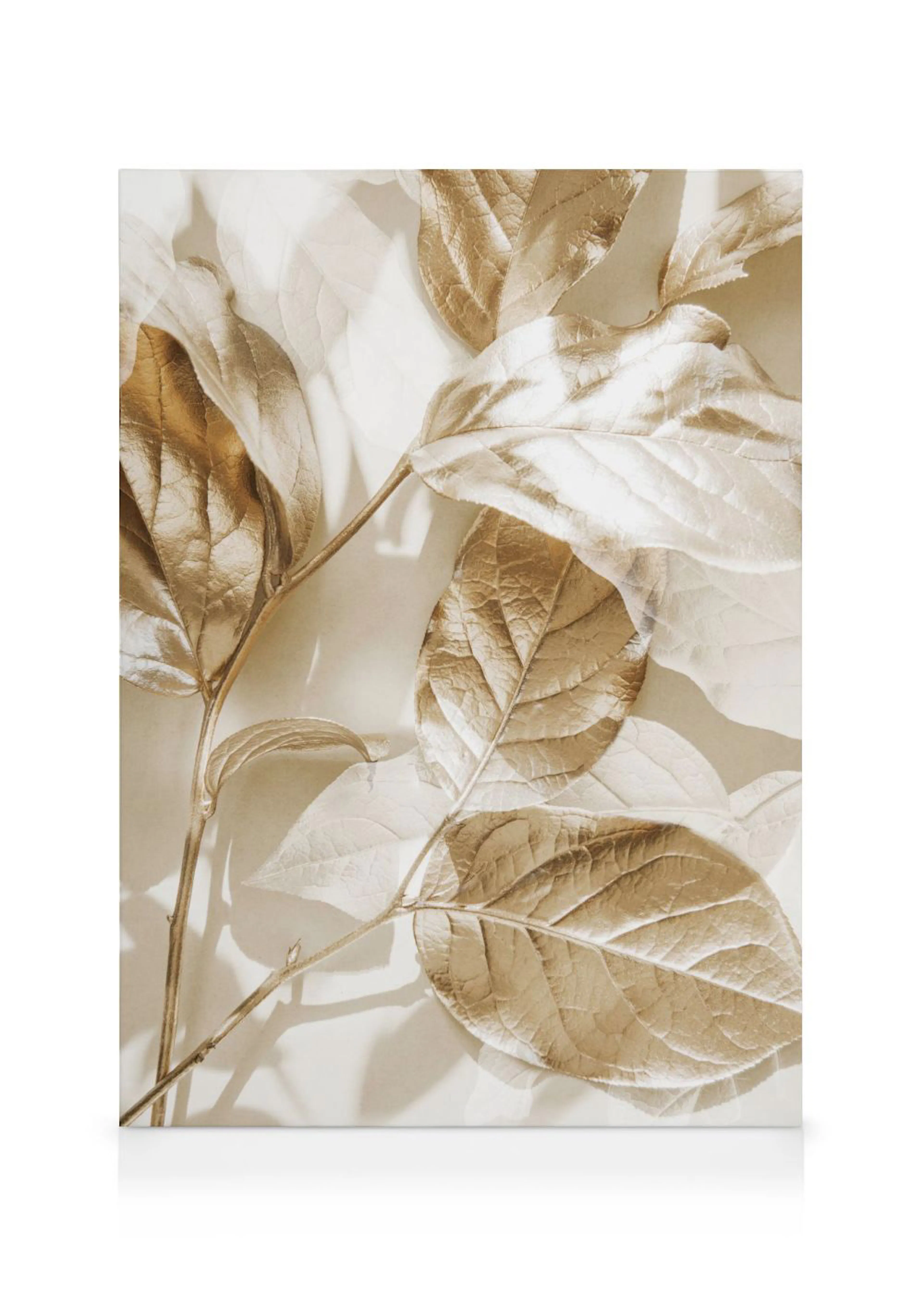 Toile de feuilles dorées sur fond clair avec des ombres subtiles, créant un motif naturel et élégant.