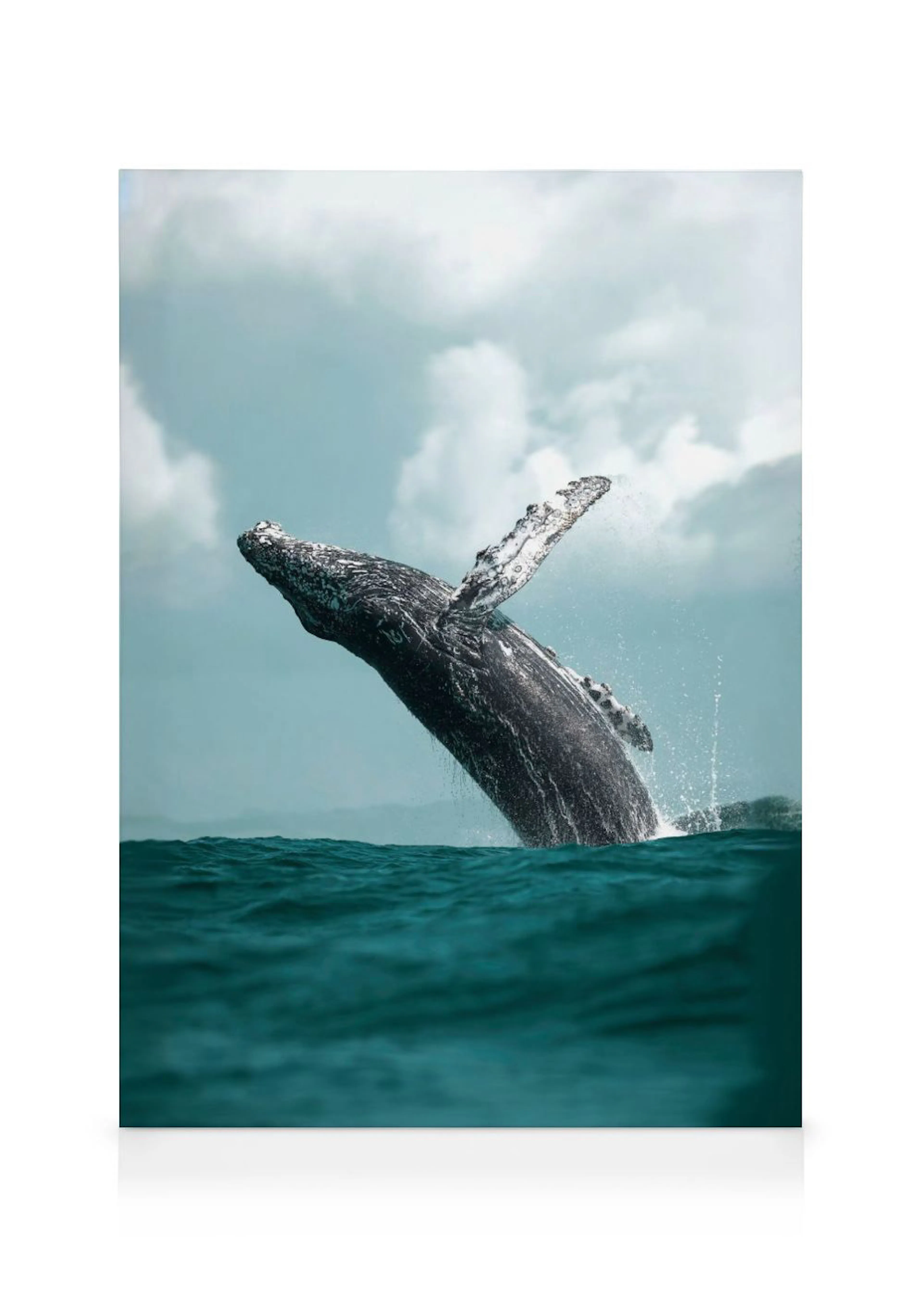 Stampa su tela di una balena megattera che salta fuori dallacqua blu-verde con spruzzi, sotto un cielo nuvoloso.