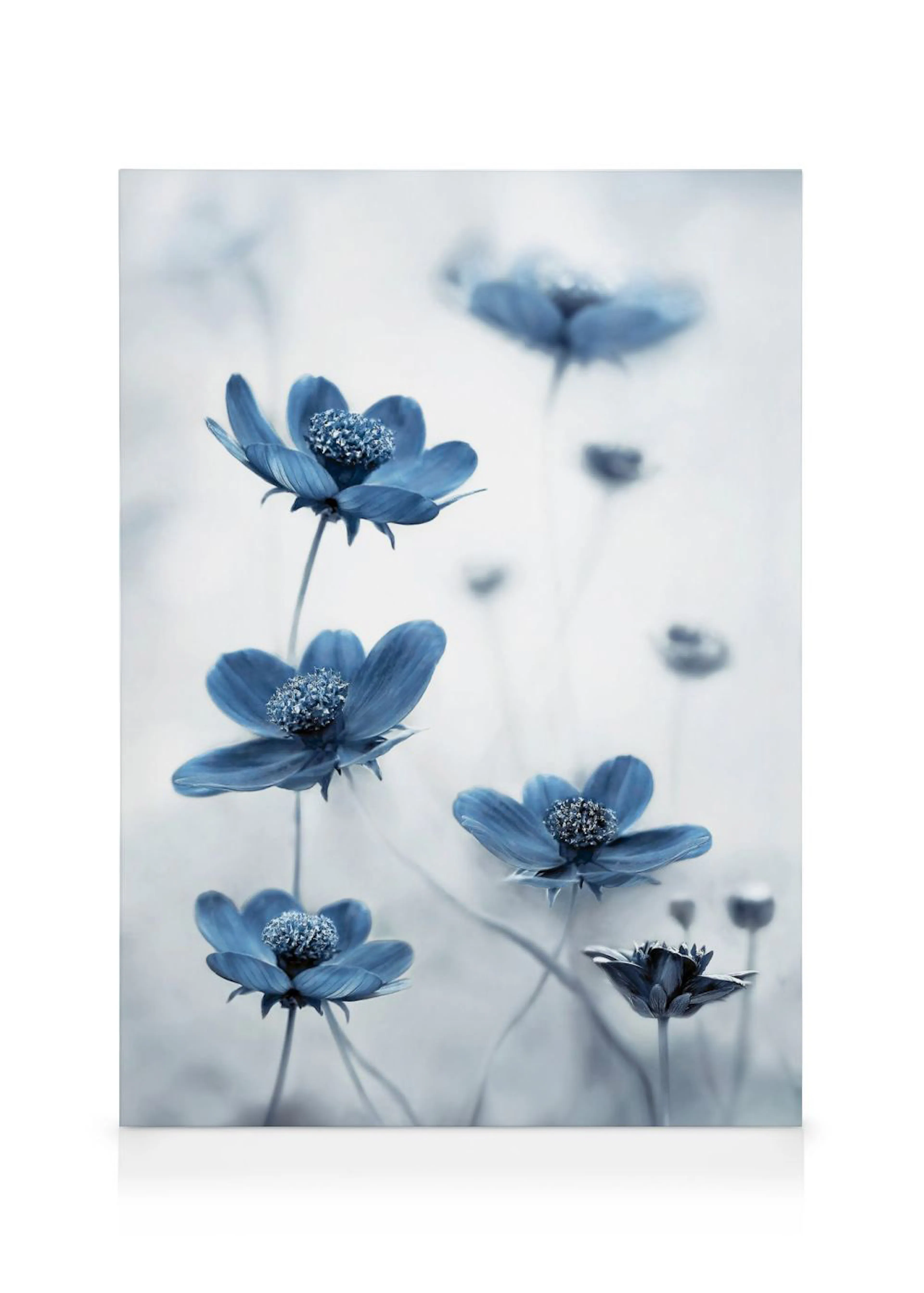 Toile de fleurs bleues aux pétales délicats et aux centres texturés sur fond gris clair, style artistique.