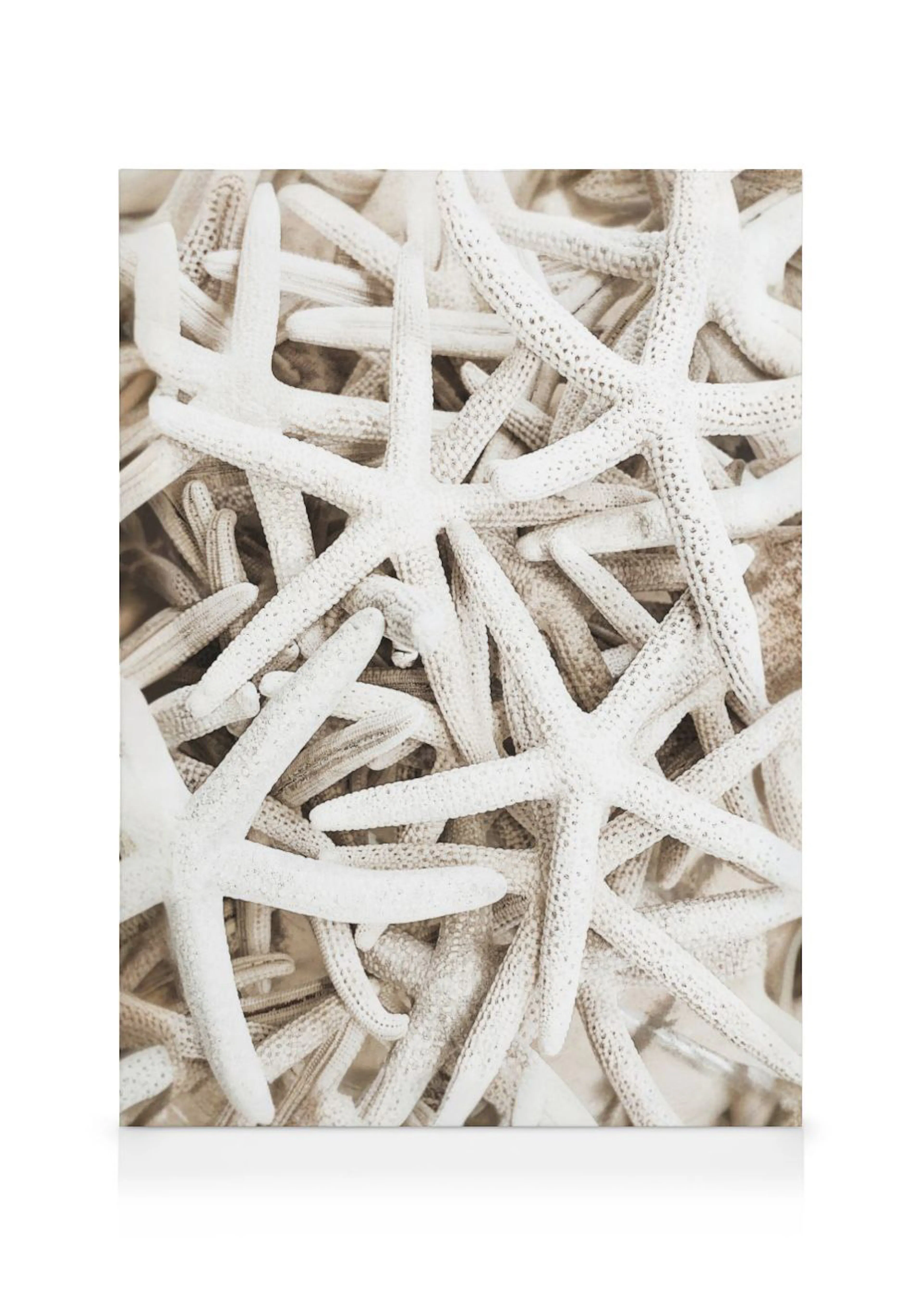 A canvas displaying a tightly packed collection of white starfish with a subtle beige background, evoking a coastal aesthetic.