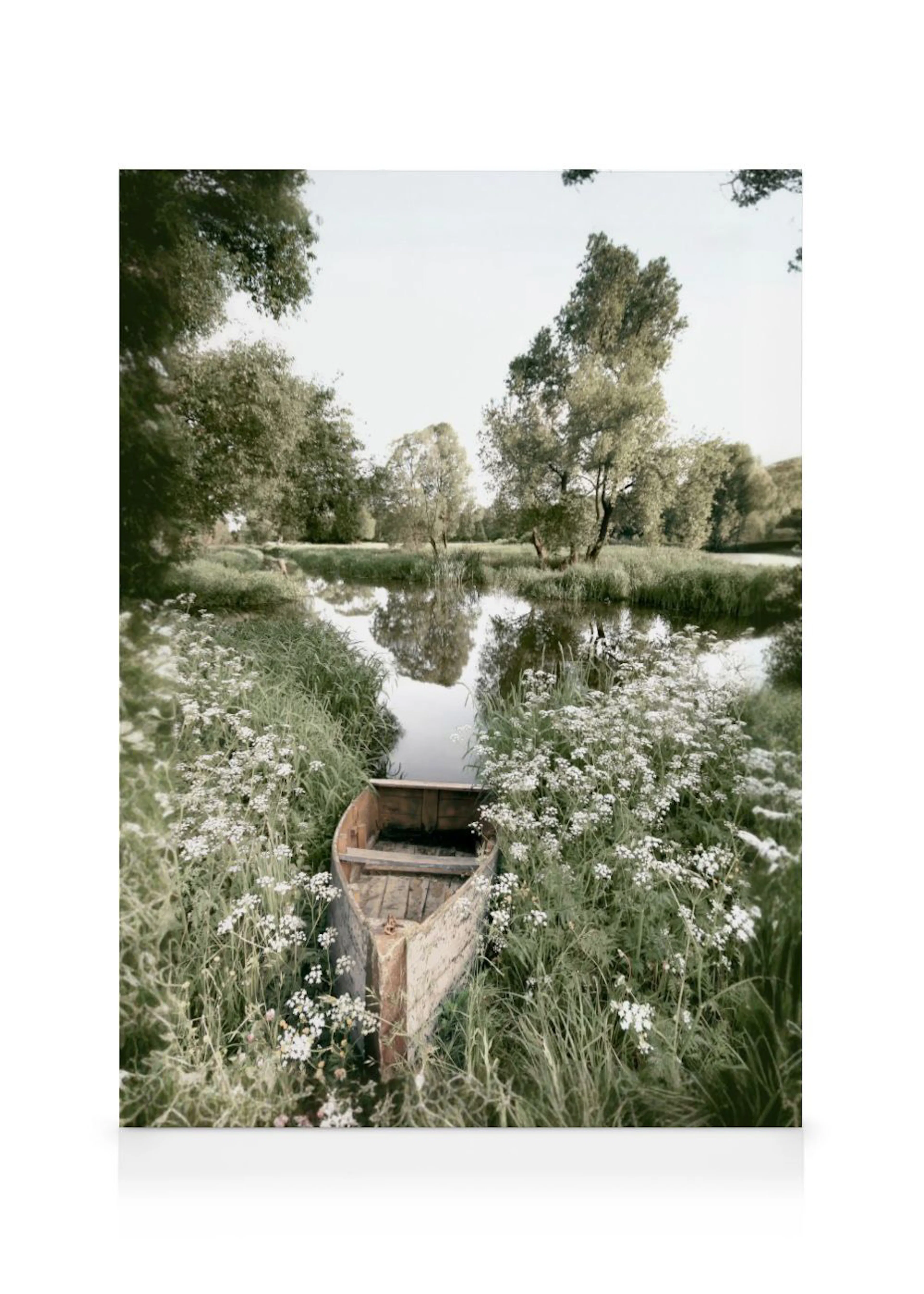Leinwandbild eines verlassenen Holzbootes umgeben von hohem Gras und weißen Blumen an einem ruhigen Fluss.