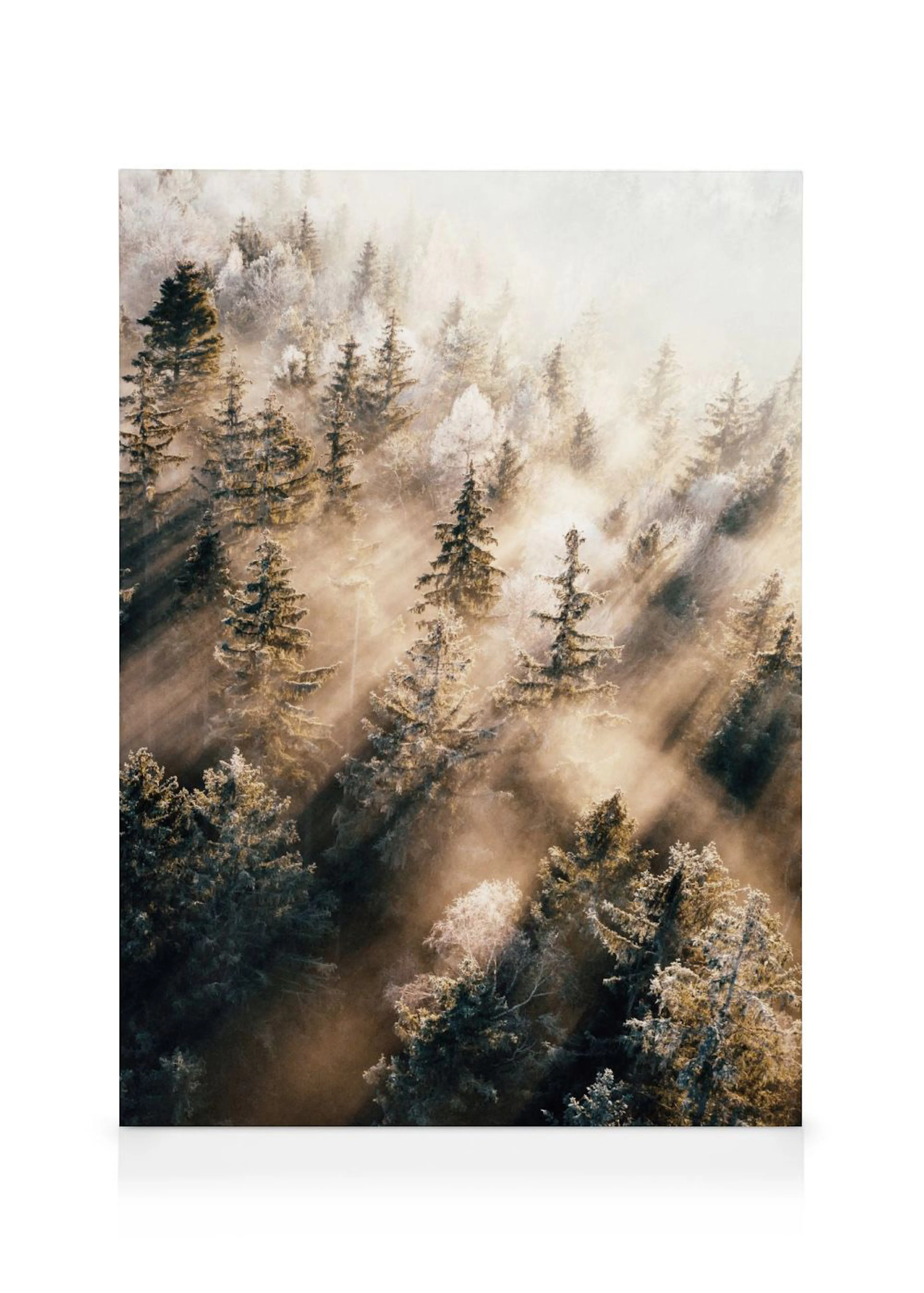 Leinwandbild eines Winterwaldes mit zahlreichen verschneiten Bäumen, durch die Sonnenstrahlen scheinen.