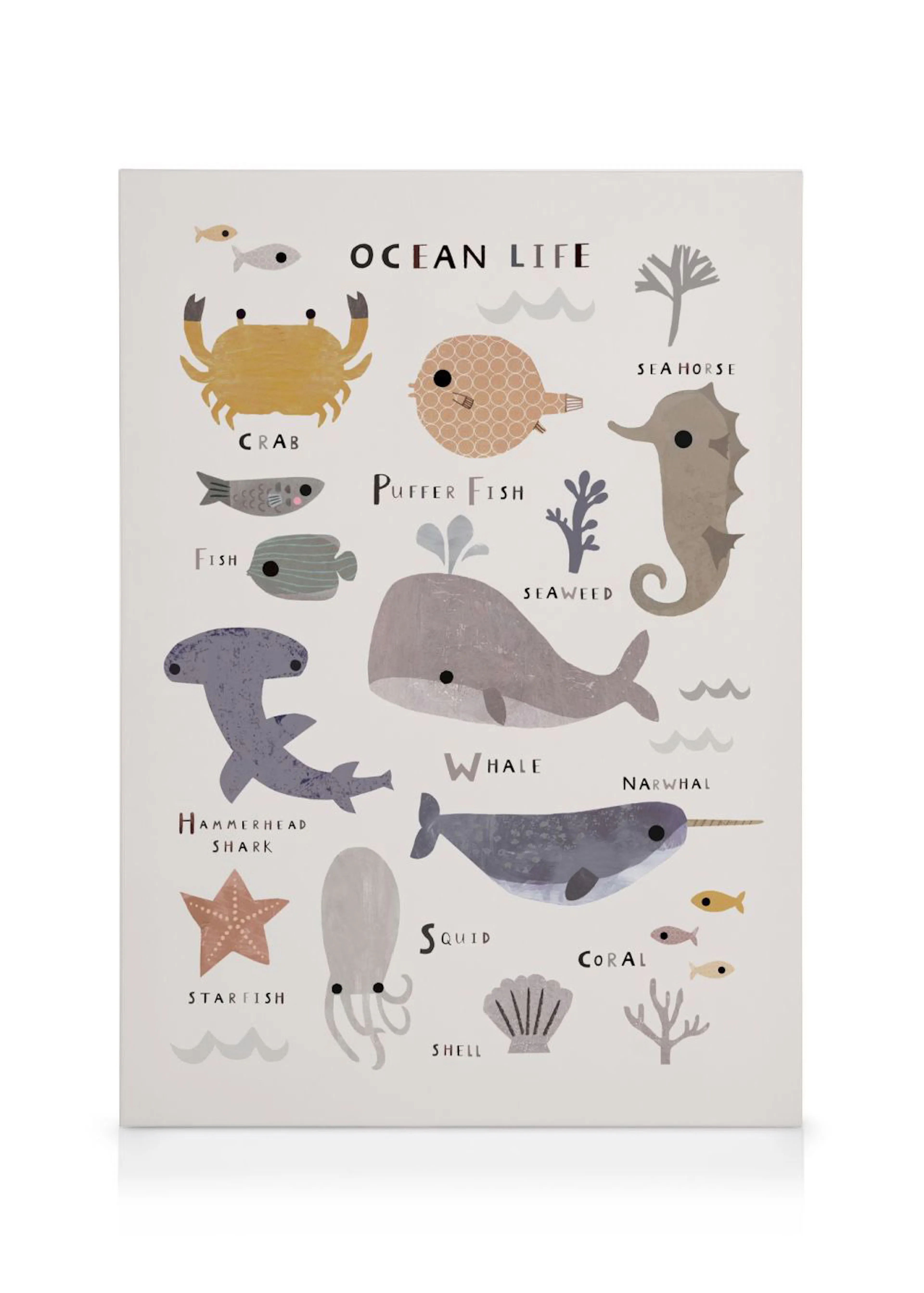 Stampa su tela con illustrazioni di animali marini come granchio, balena, cavalluccio marino, narvalo, e stella marina, con test