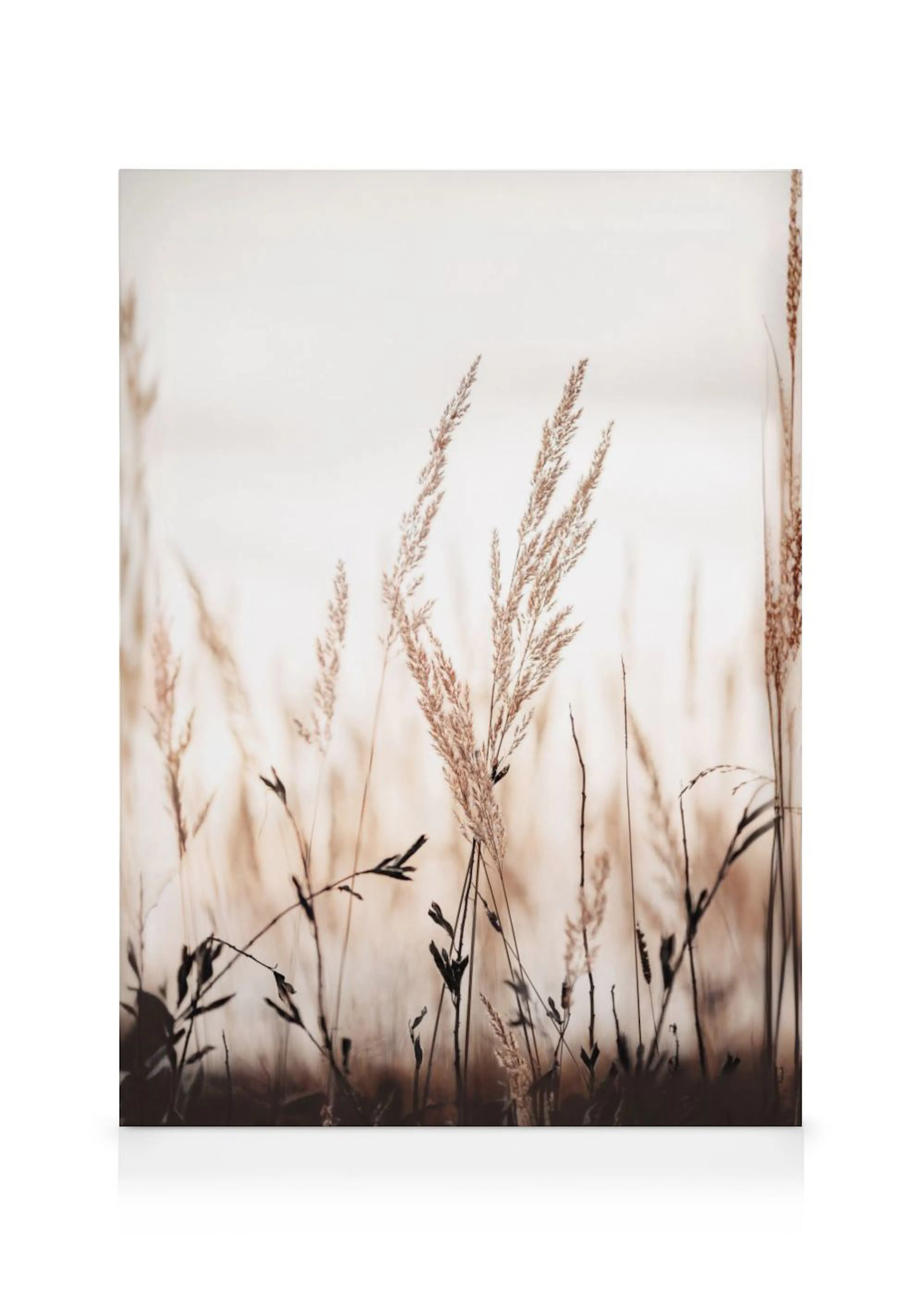 Stampa su tela con spighe di grano e fili derba dalle tonalità calde e neutre su sfondo chiaro e luminoso.