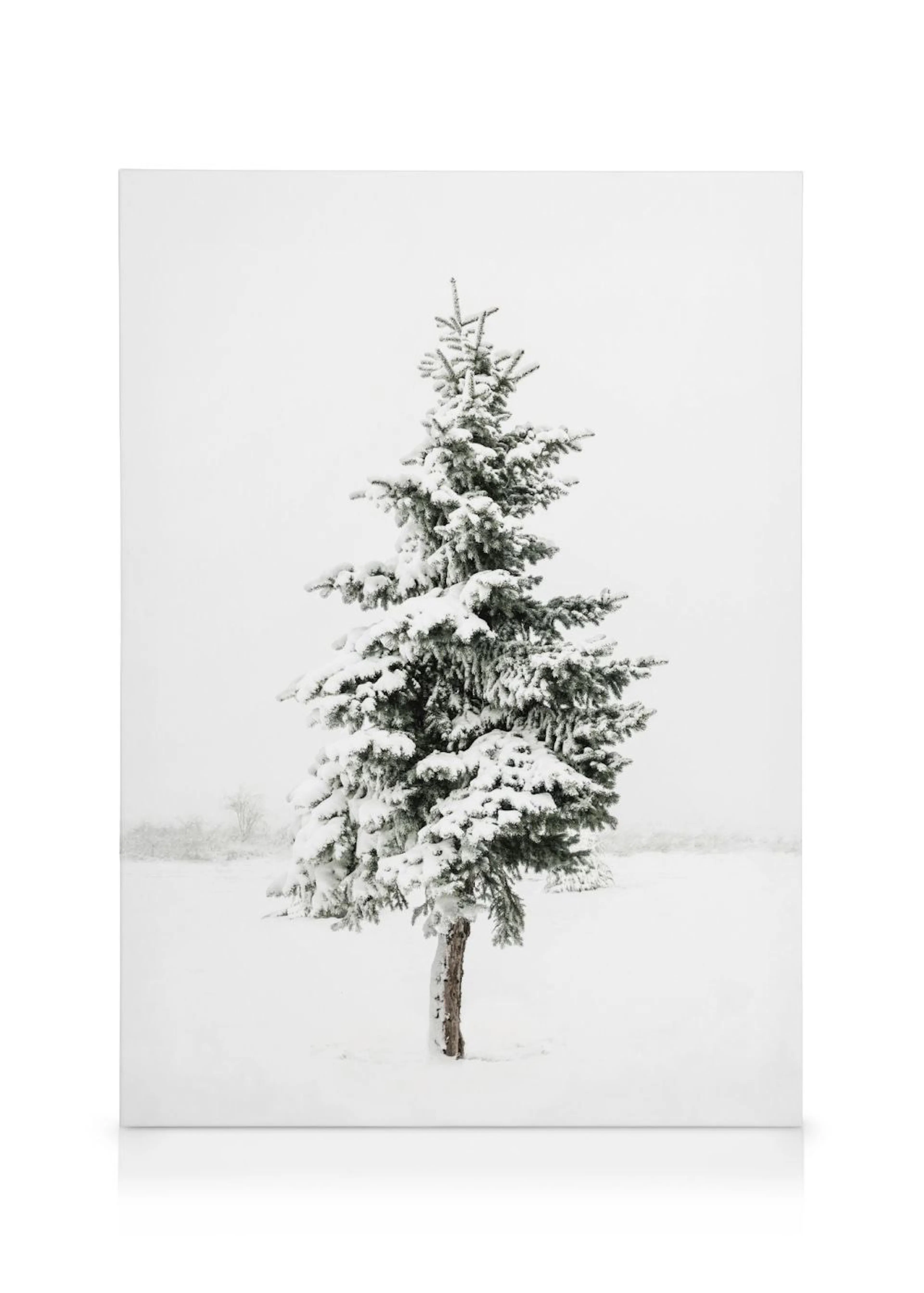 Lerretsbilde av et snødekket grantre som står alene i et hvitt vinterlandskap.