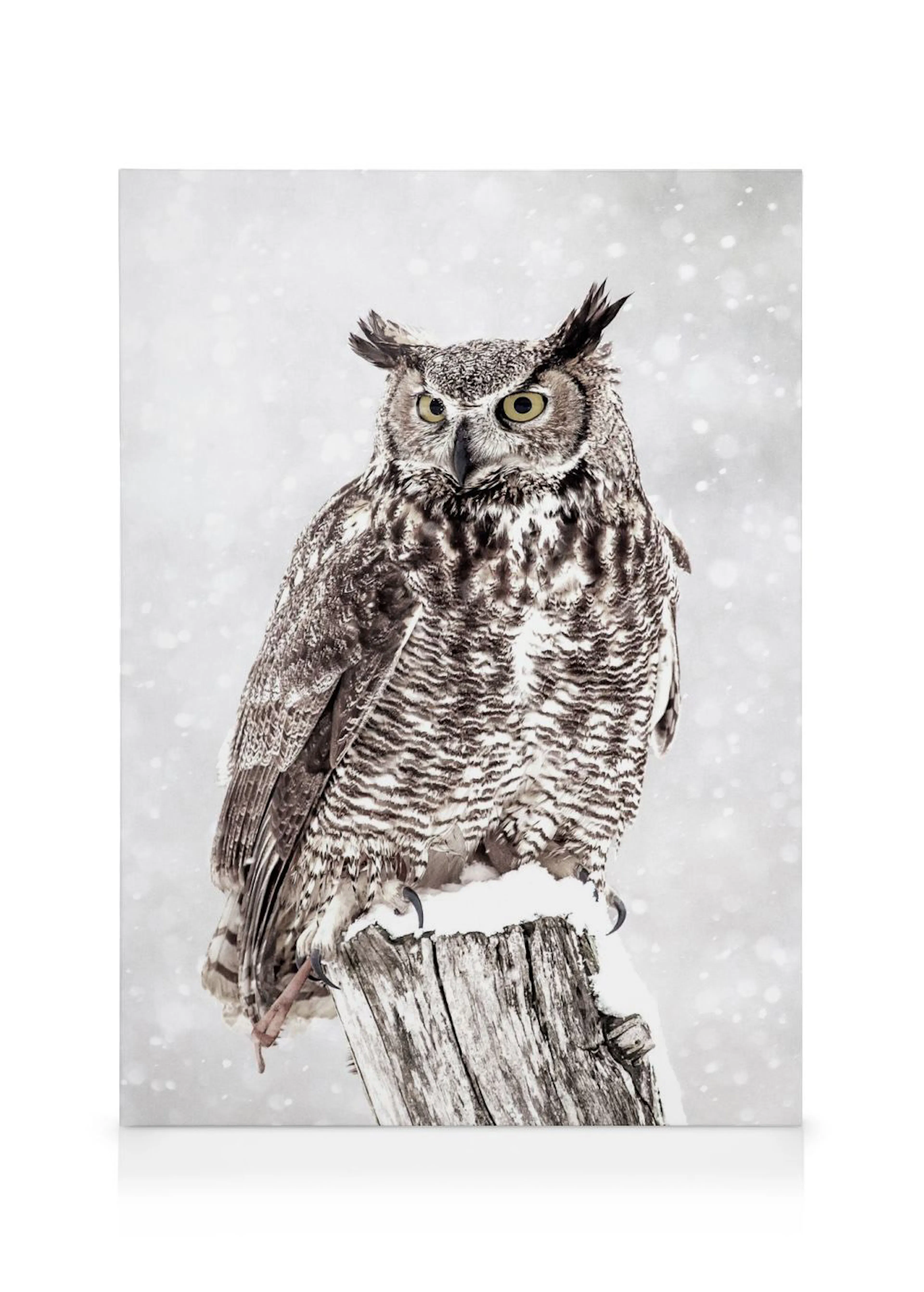 Leinwandbild einer Eule mit gelben Augen und Federohren, die auf einem schneebedeckten Baumstamm sitzt, während Schneeflocken fa