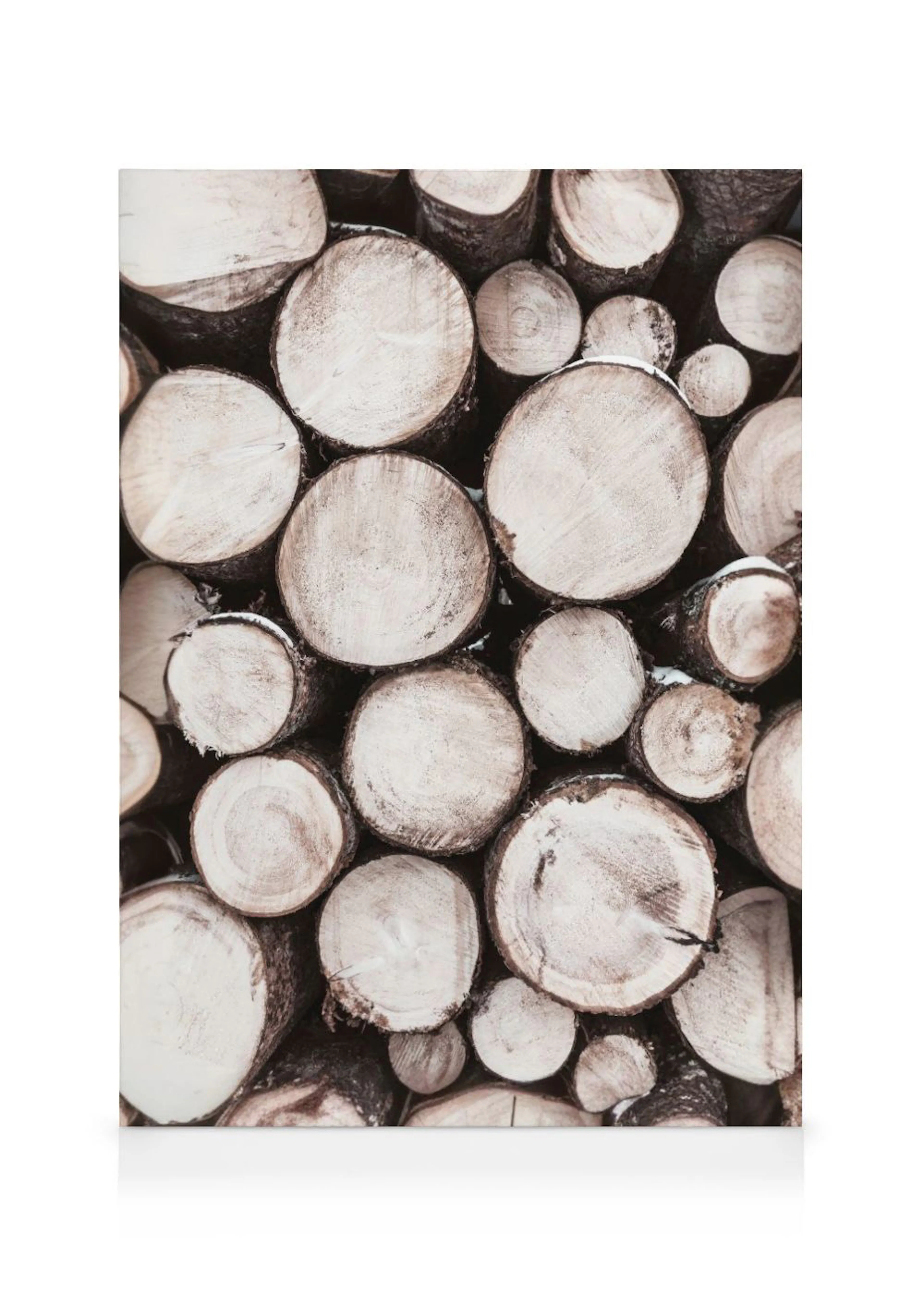 Stampa su tela con tronchi di legno tagliati, con venature visibili e tracce di neve sulla corteccia scura.