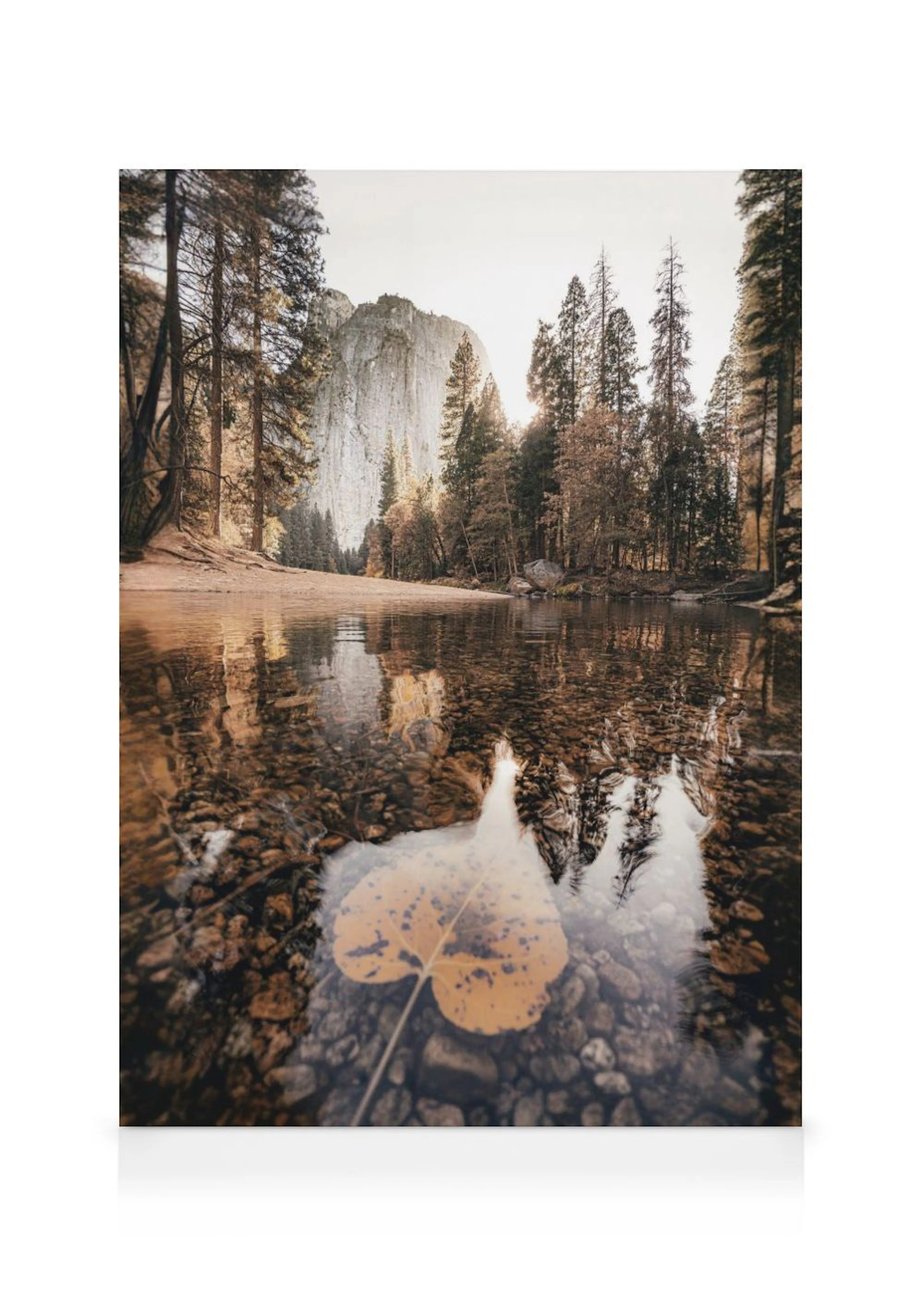A canvas of Yosemite Valley with a leaf on the water foreground and El Capitan in the background.