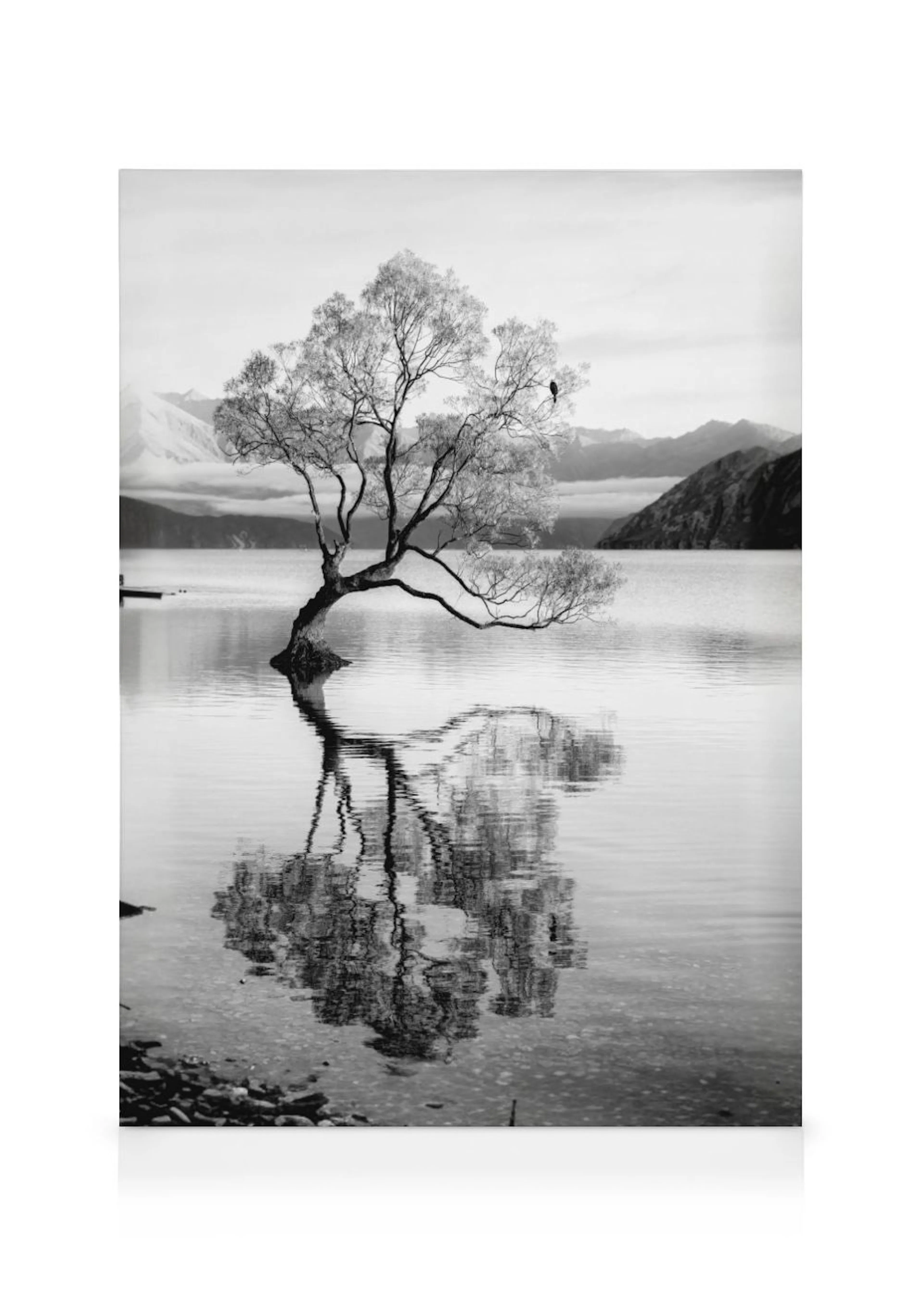Toile noir et blanc dun arbre solitaire dans un lac miroitant, avec des montagnes en arrière-plan.