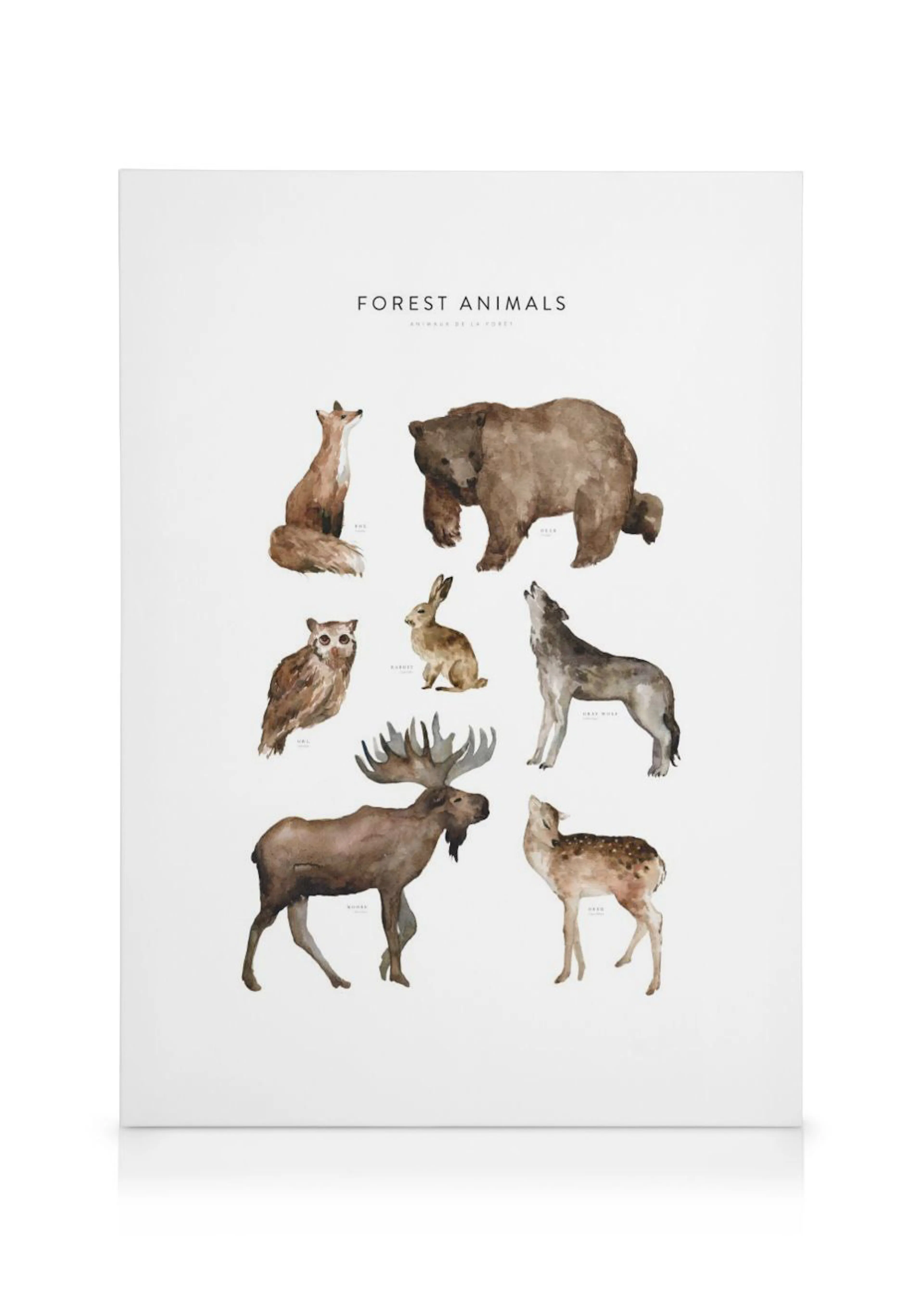Lienzo de animales del bosque con un oso, zorro, lobo, alce, ciervo, búho y conejo en acuarela.