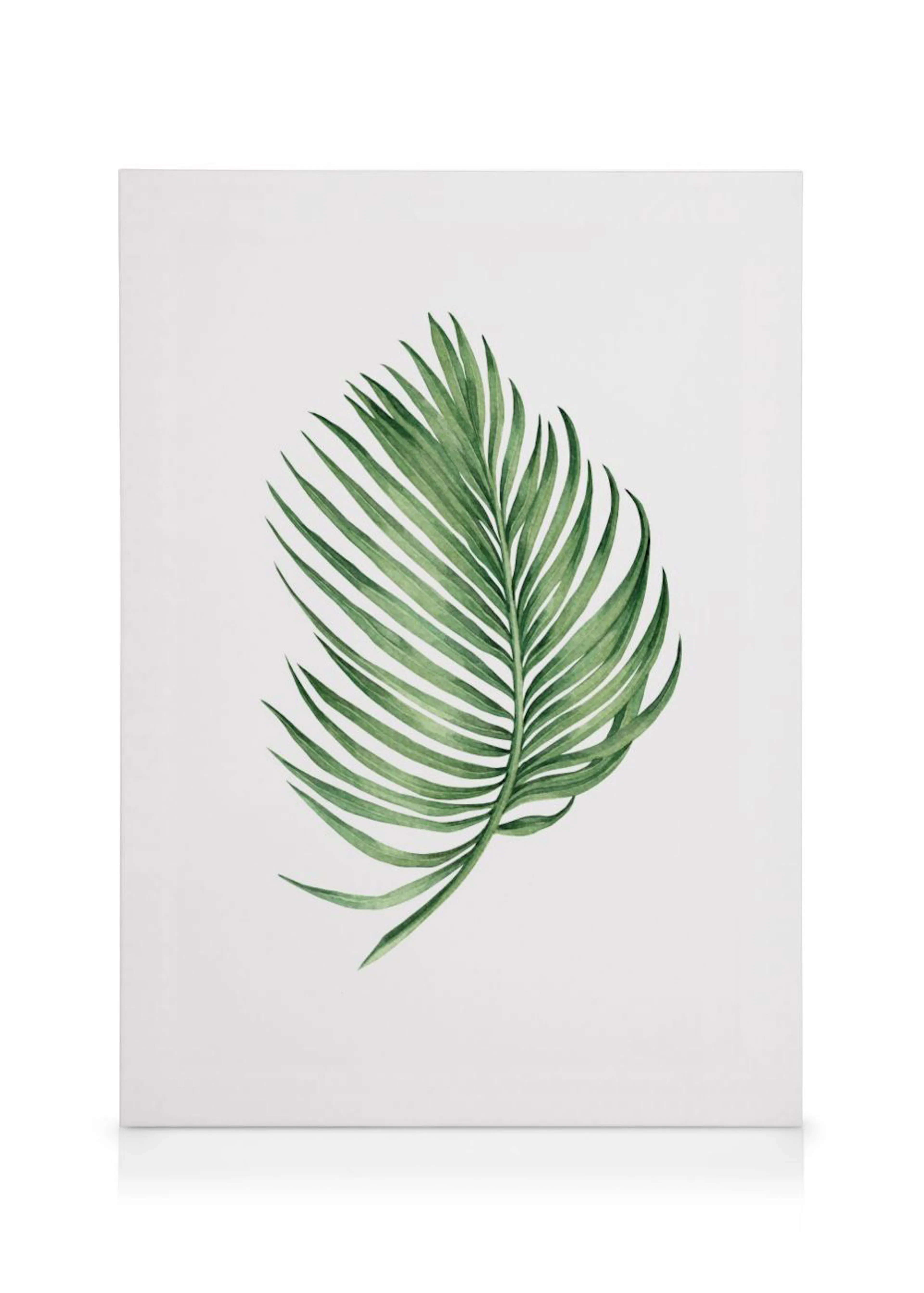 A minimalist canvas with a single green palm frond on a white background.