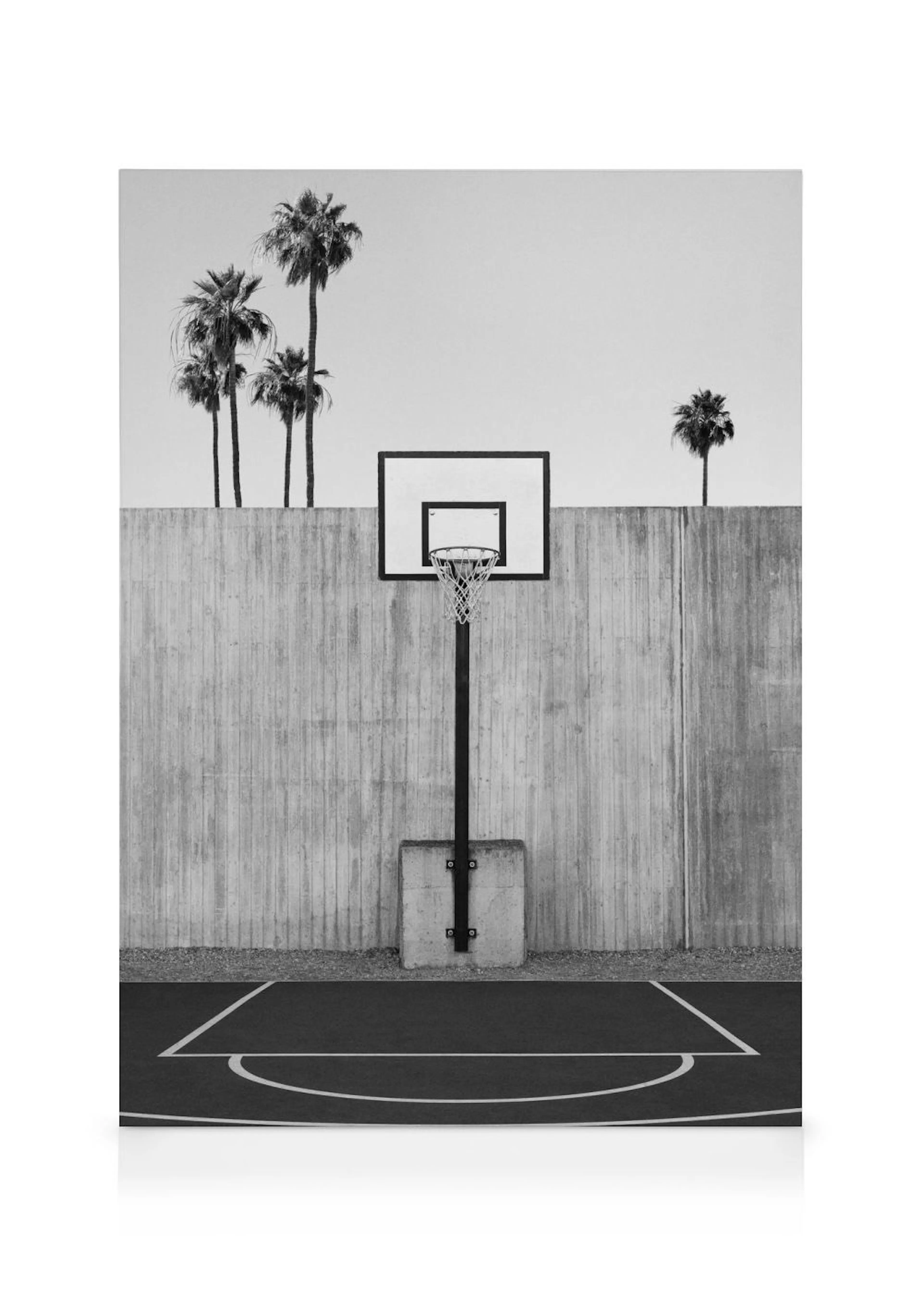 Stampa su tela in bianco e nero di un campo da basket con muro in cemento e palme.