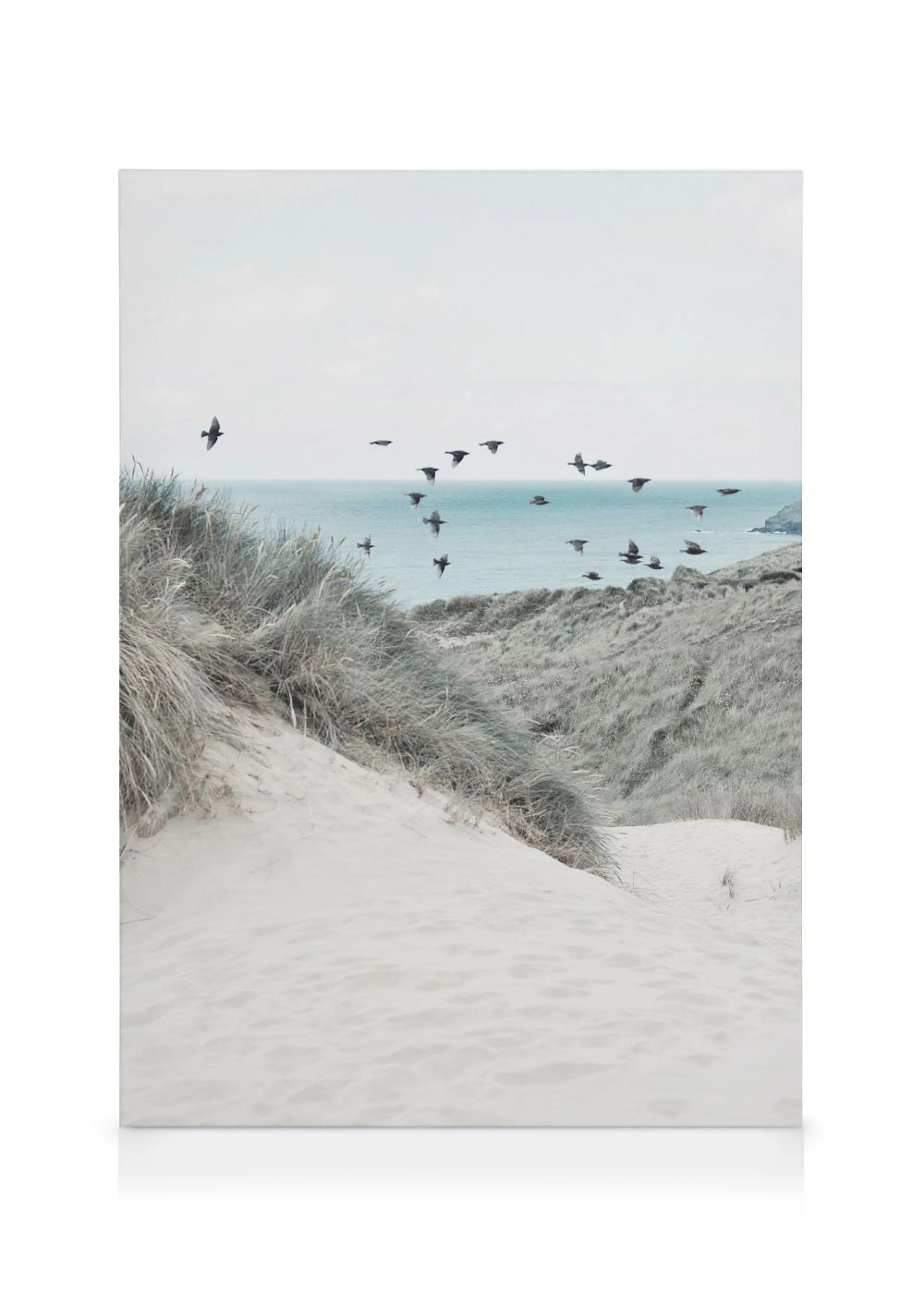 A serene canvas print of a sandy beach dune with sparse green grass overlooking a blue ocean, with birds flying across the sky.