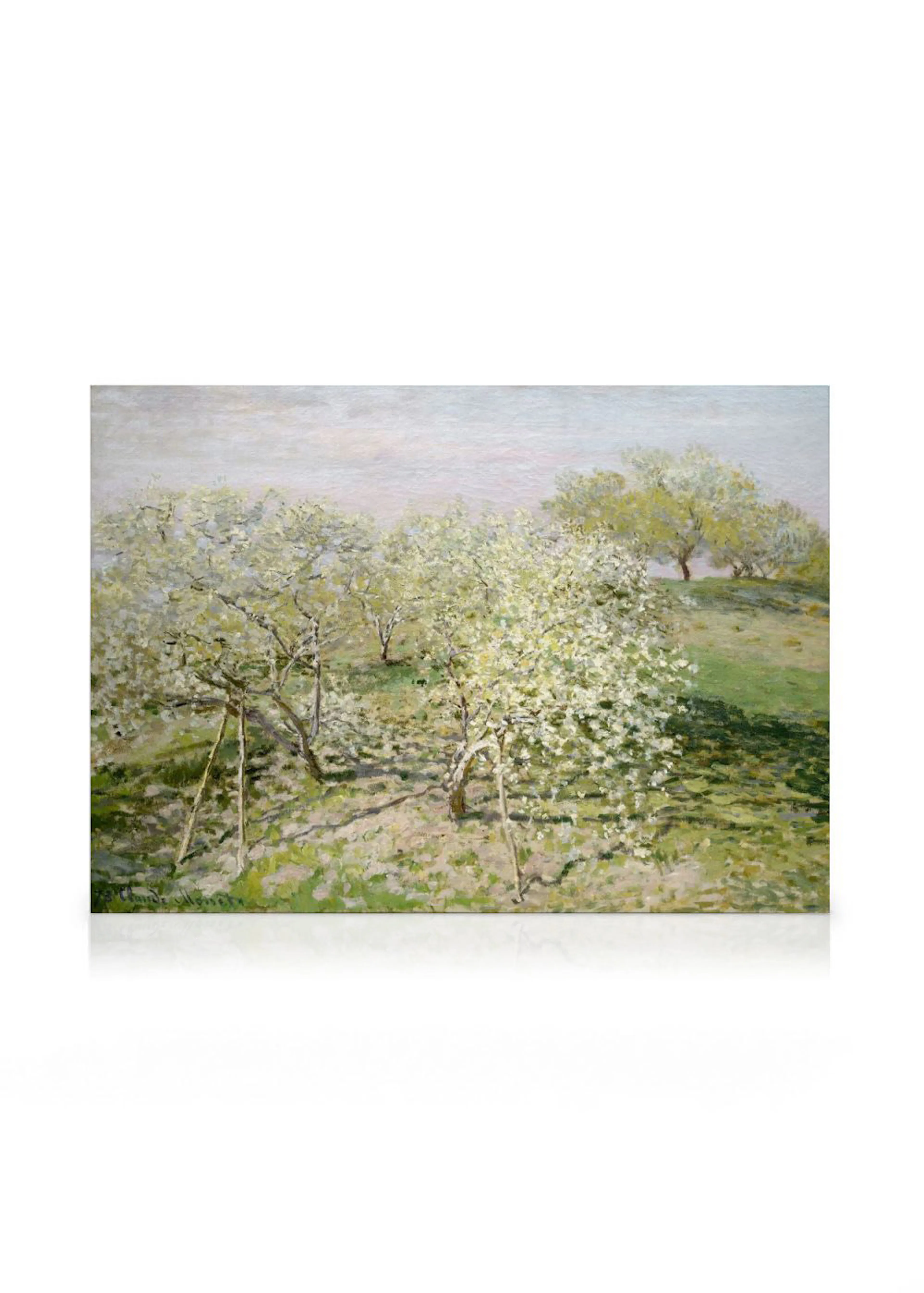 A canvas of a vibrant Impressionist painting featuring an apple orchard in bloom with white blossoms and green grass.