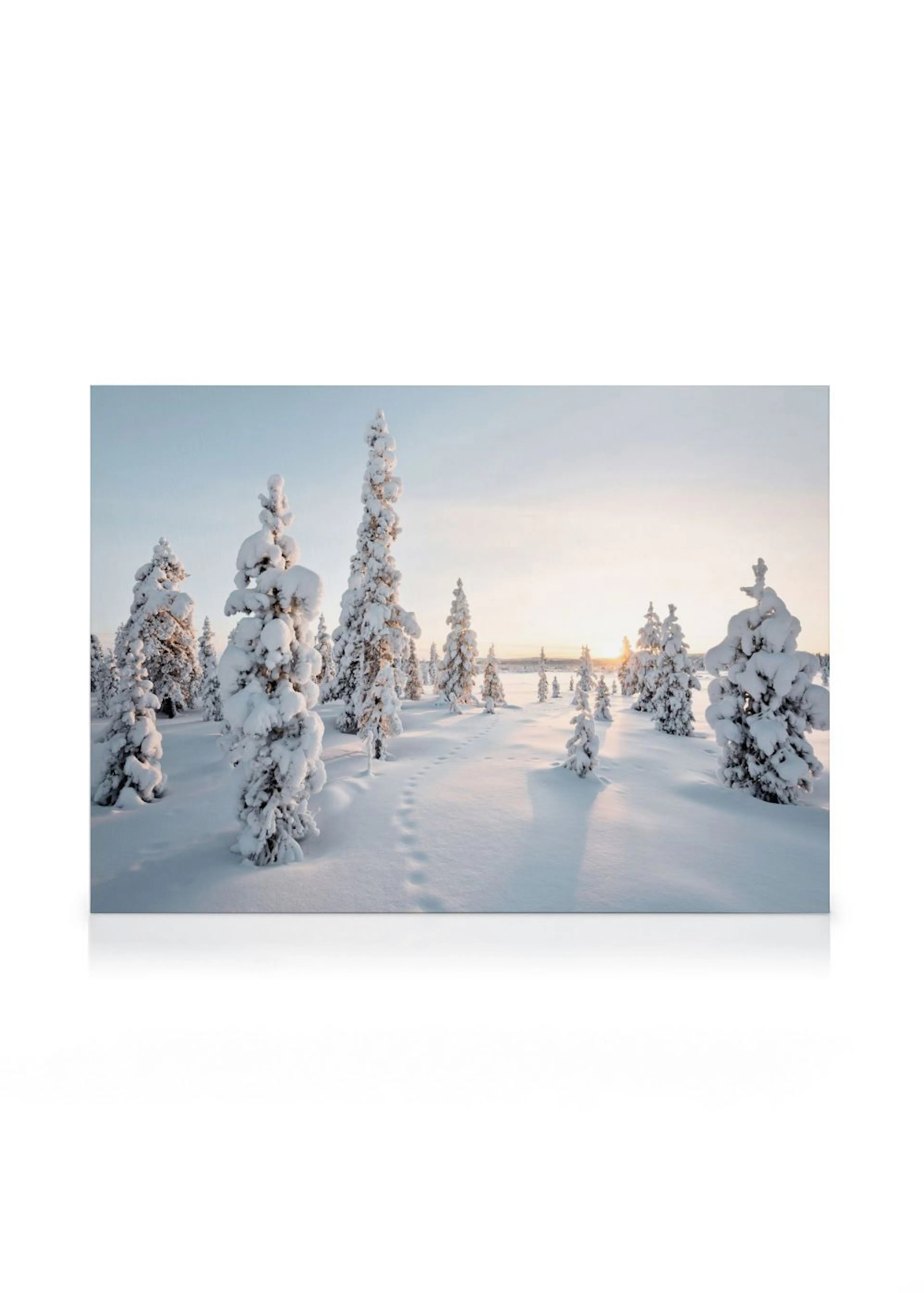 A stunning canvas of a snow-covered forest with pine trees and animal tracks leading towards a bright sunset.