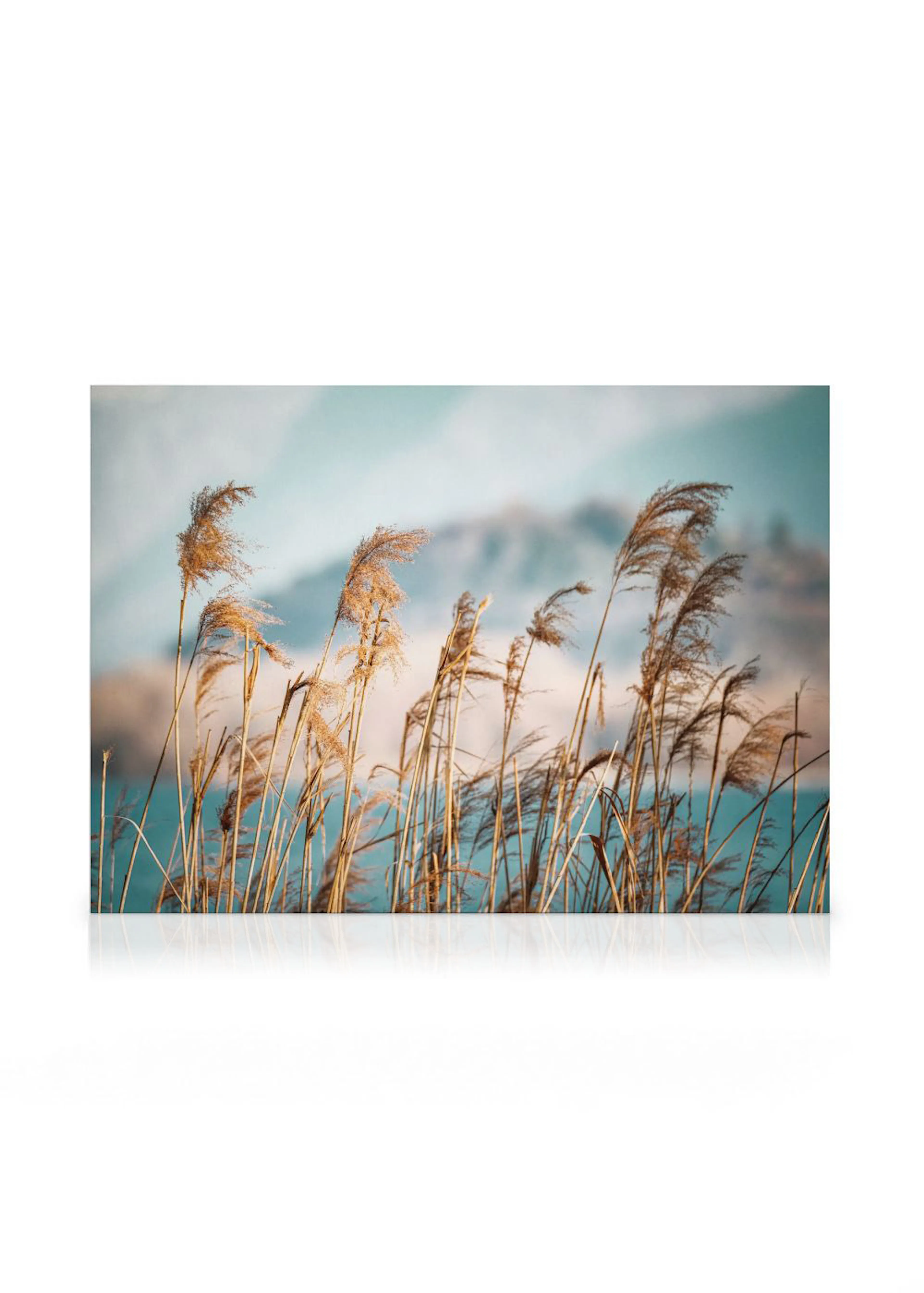 Leinwandbild mit Schilfgras am Seeufer vor blauen Bergen und Himmel.