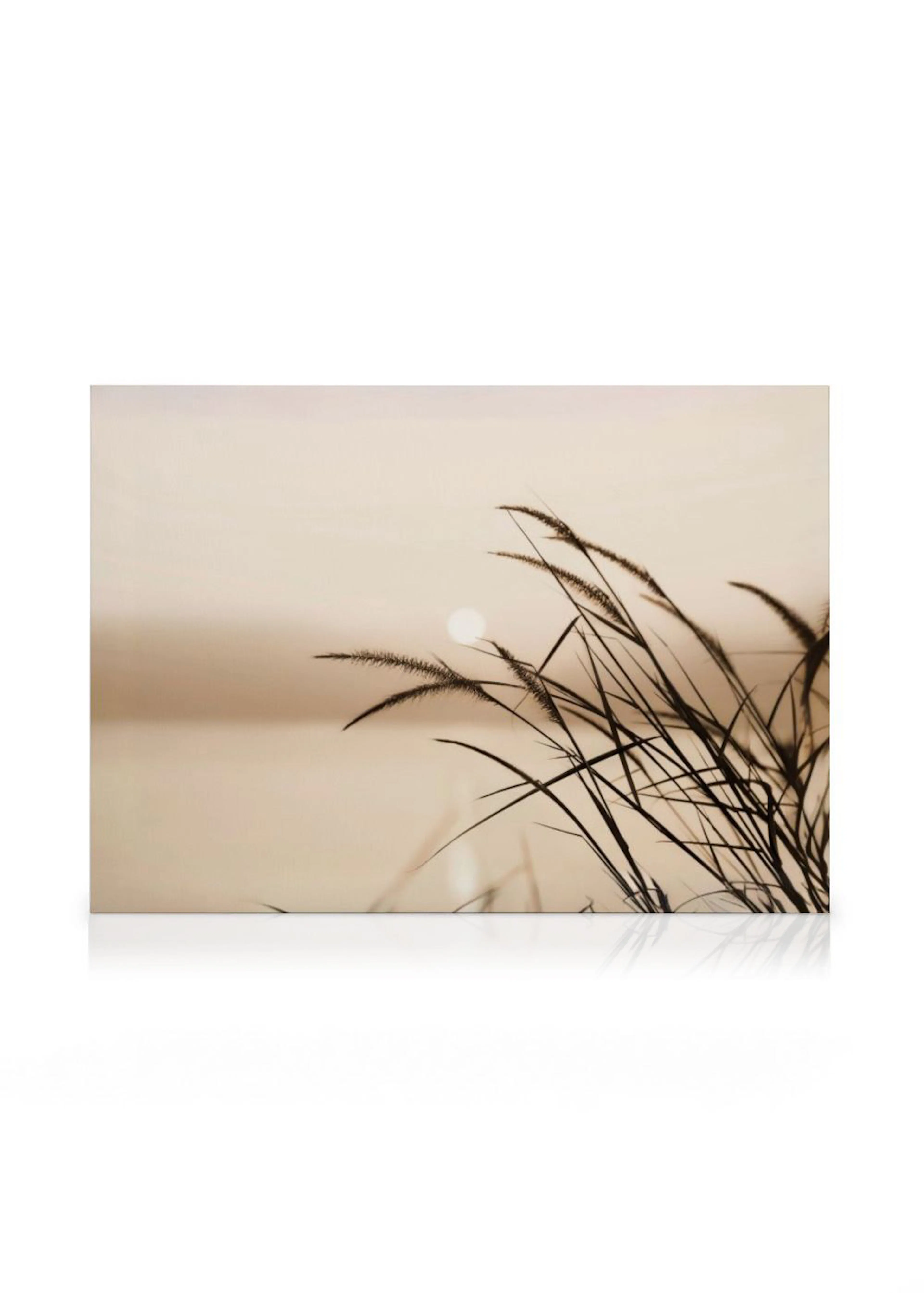 Canvas met een abstracte weergave van wuivend gras bij zonsondergang in sepia tinten.
