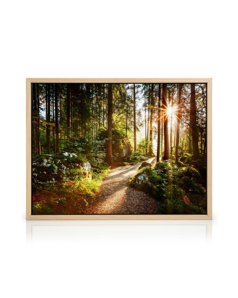 Forest Pathway Nature Wall Art Canvas | Poster Store IE