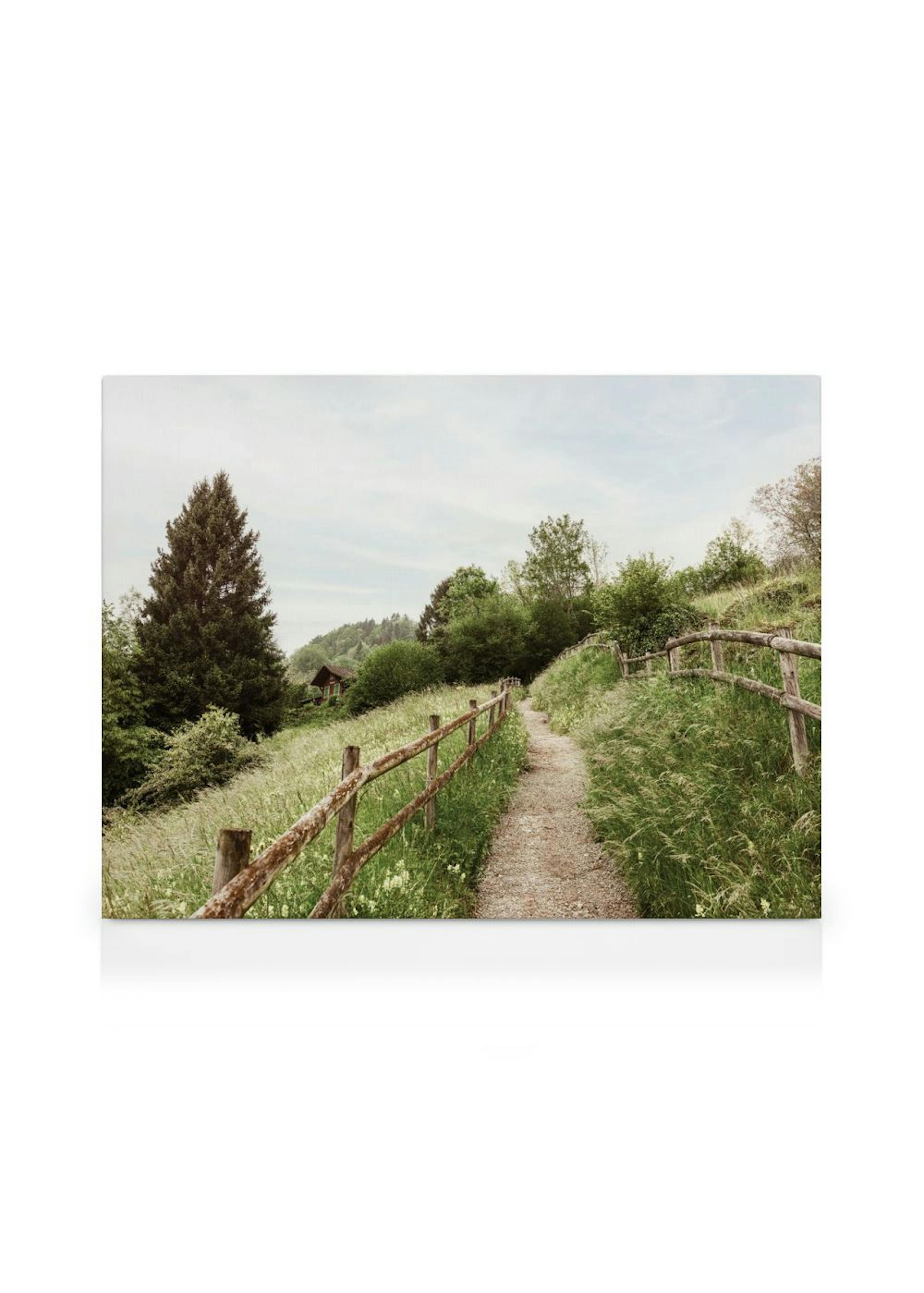 Pad door de Heuvels Canvas thumbnail