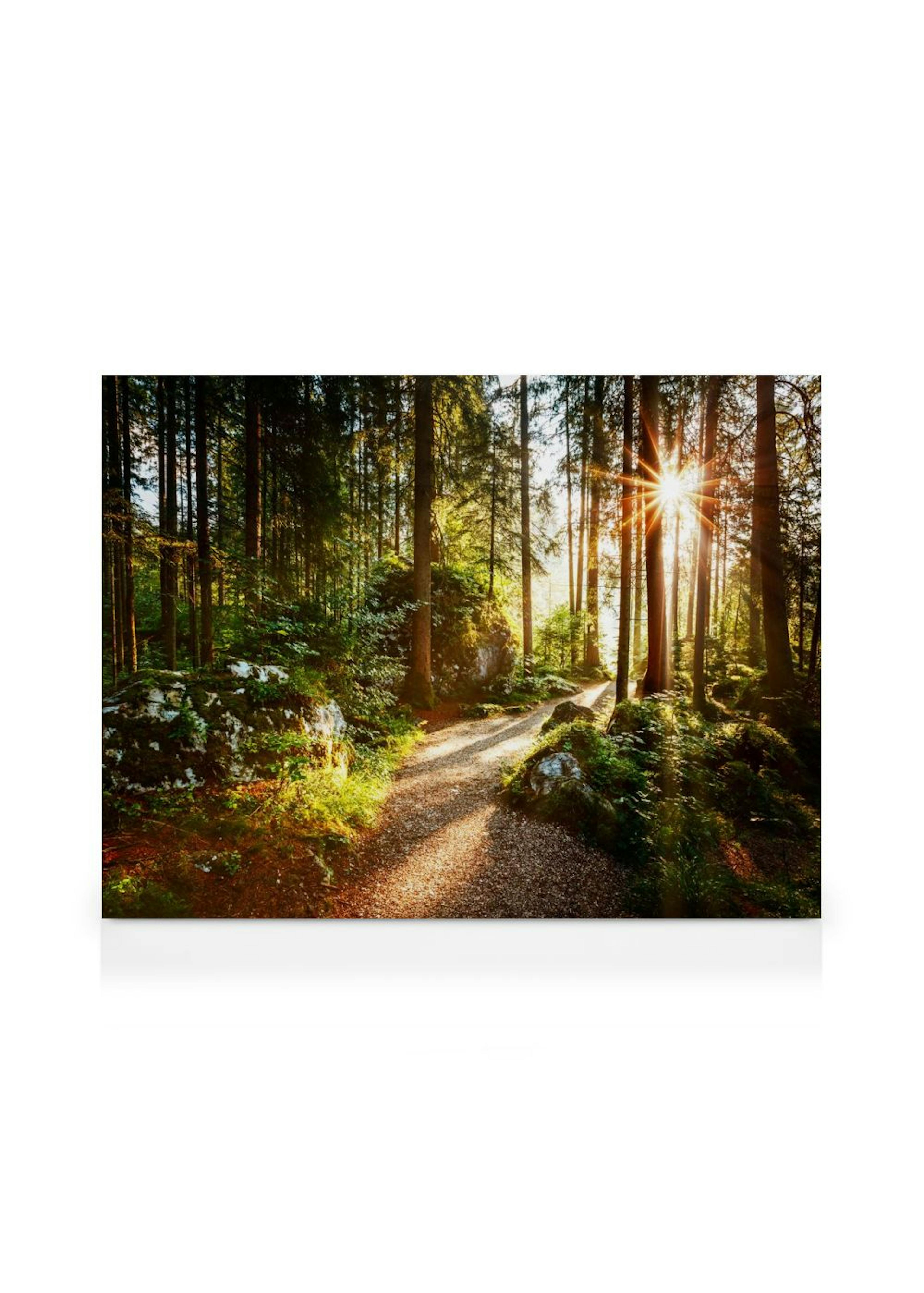 Sentier Forestier Toile thumbnail