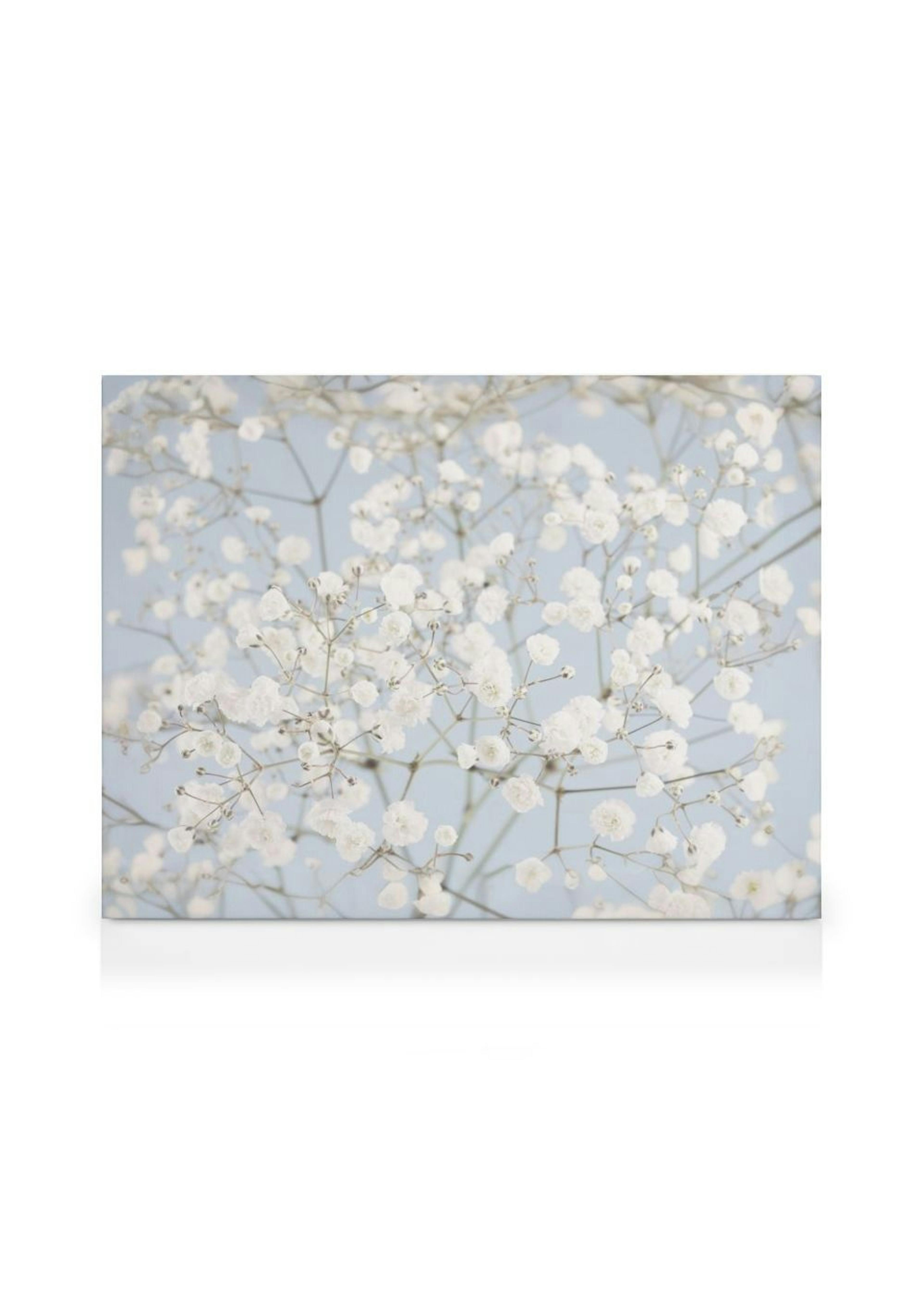 Baby's Breath Flowers Canvas print thumbnail