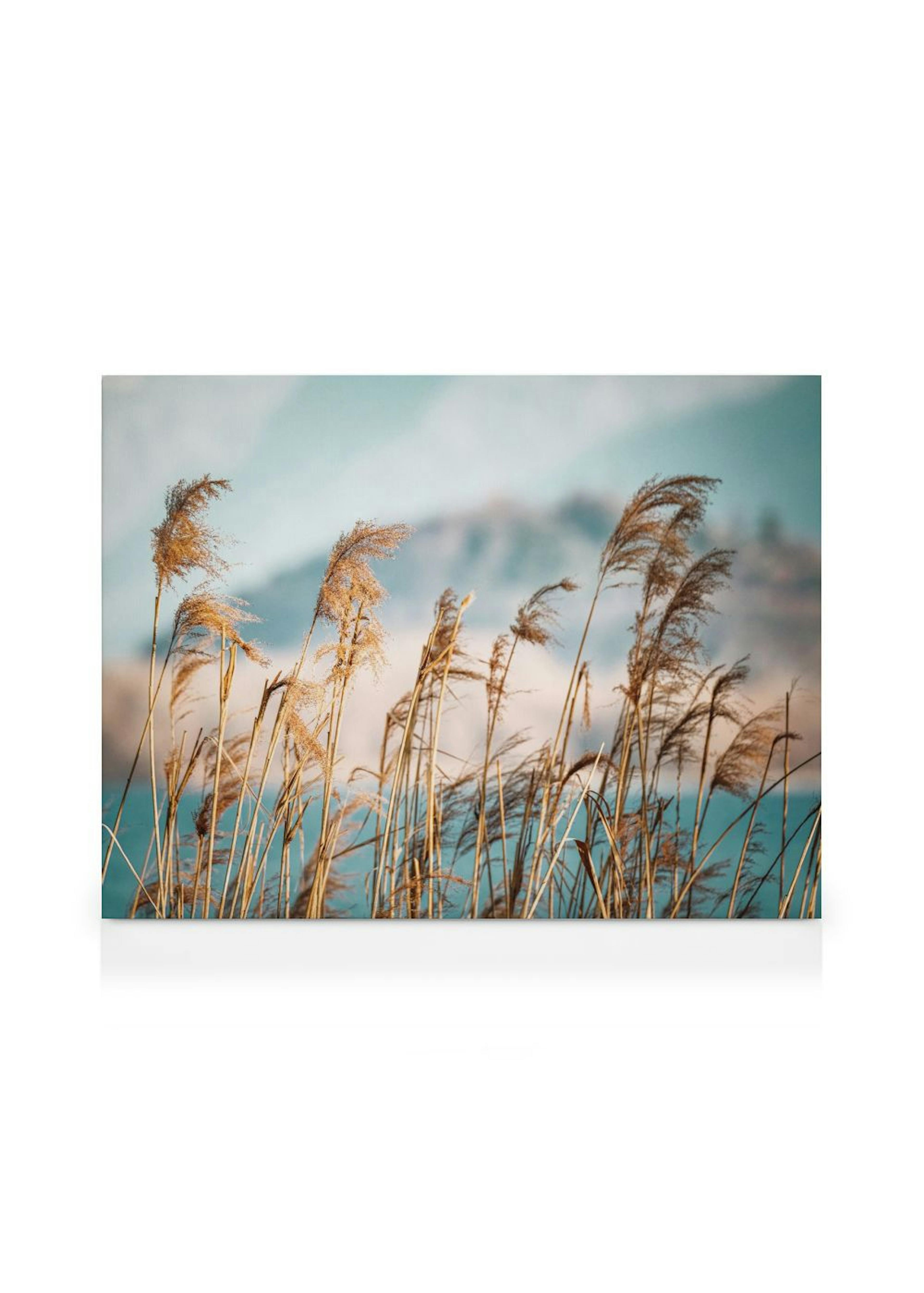 Reeds by the Lake Leinwand thumbnail