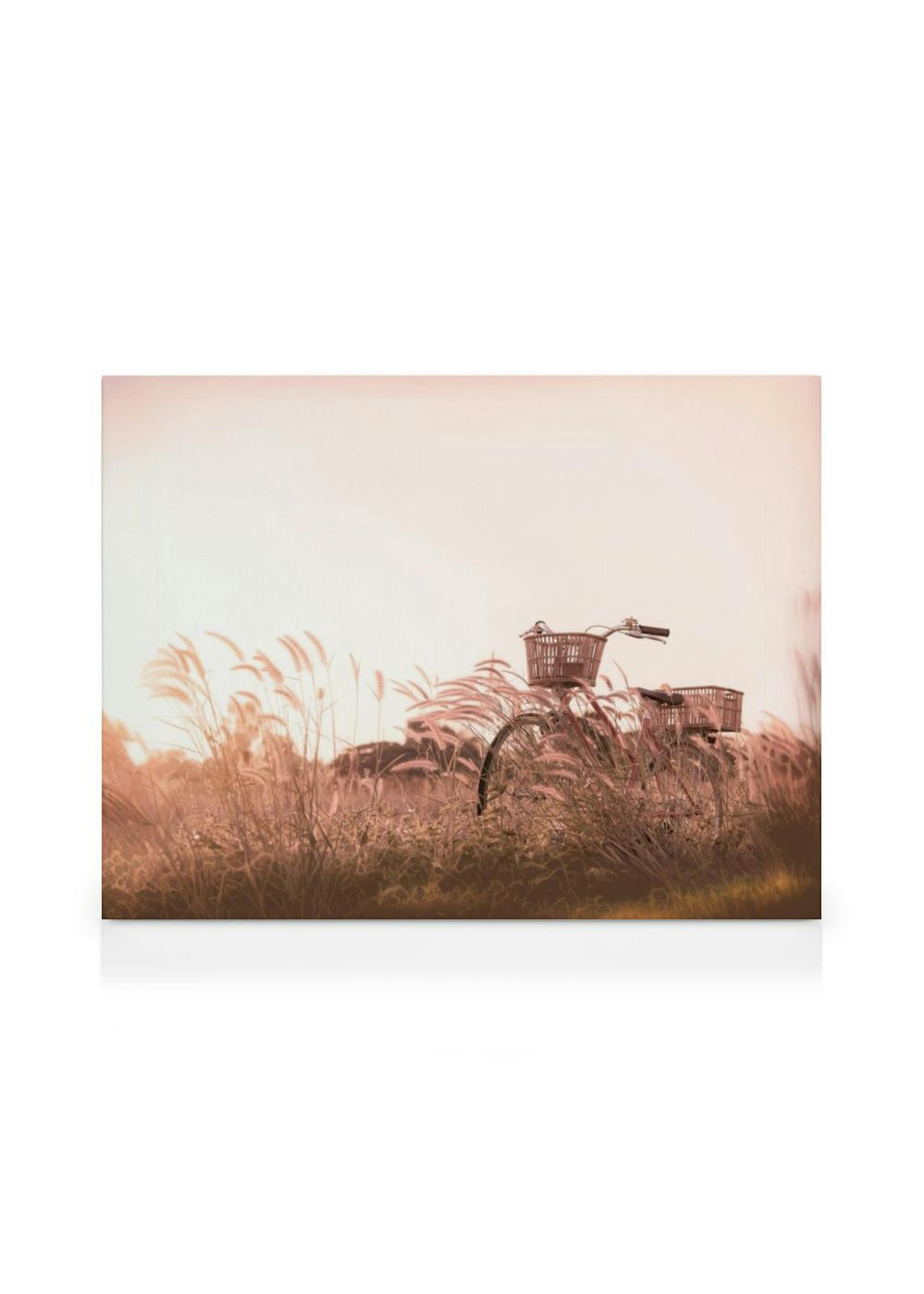 Sunset Bicycle Kanvaasi thumbnail