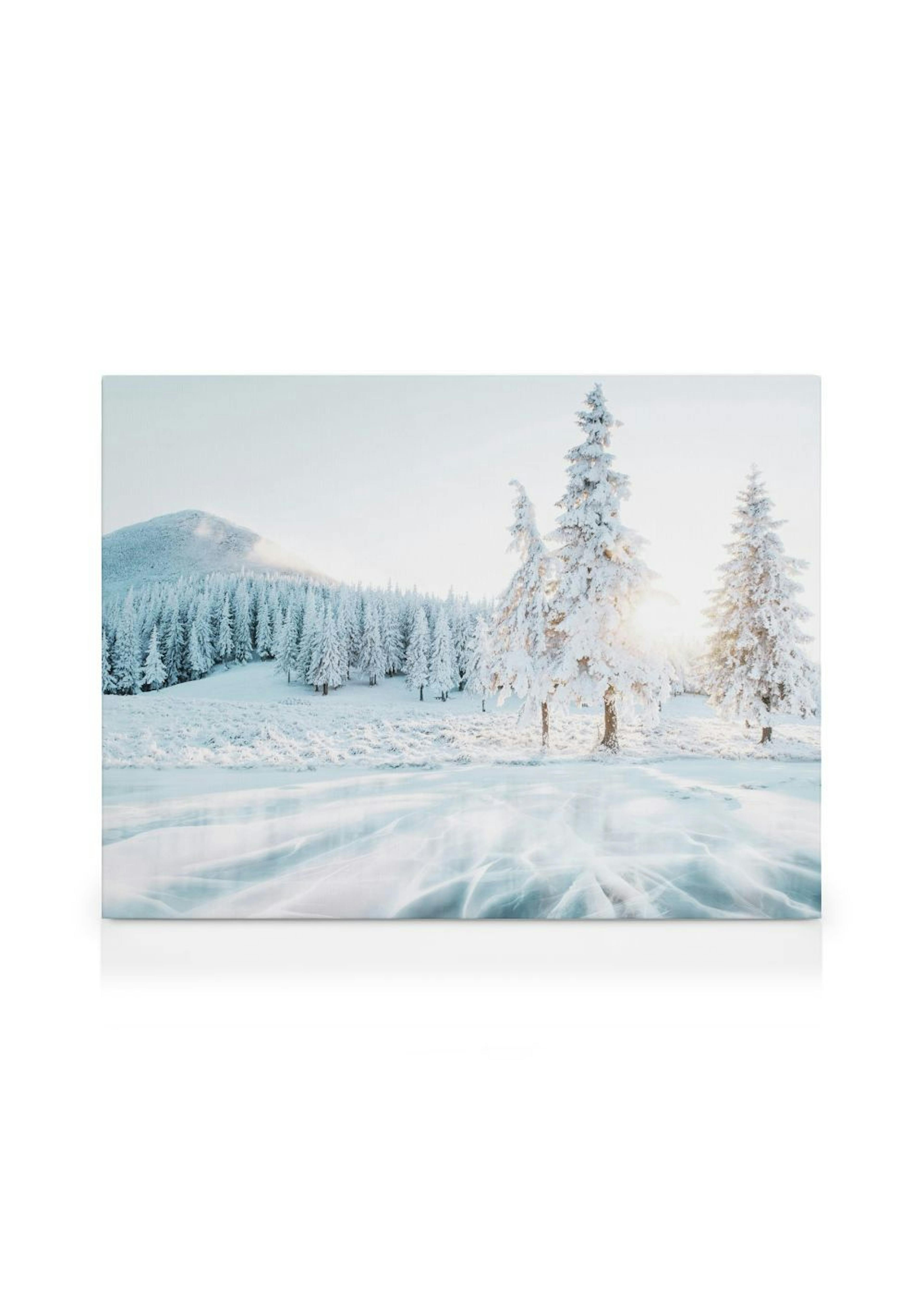 Frozen Lake Canvas thumbnail