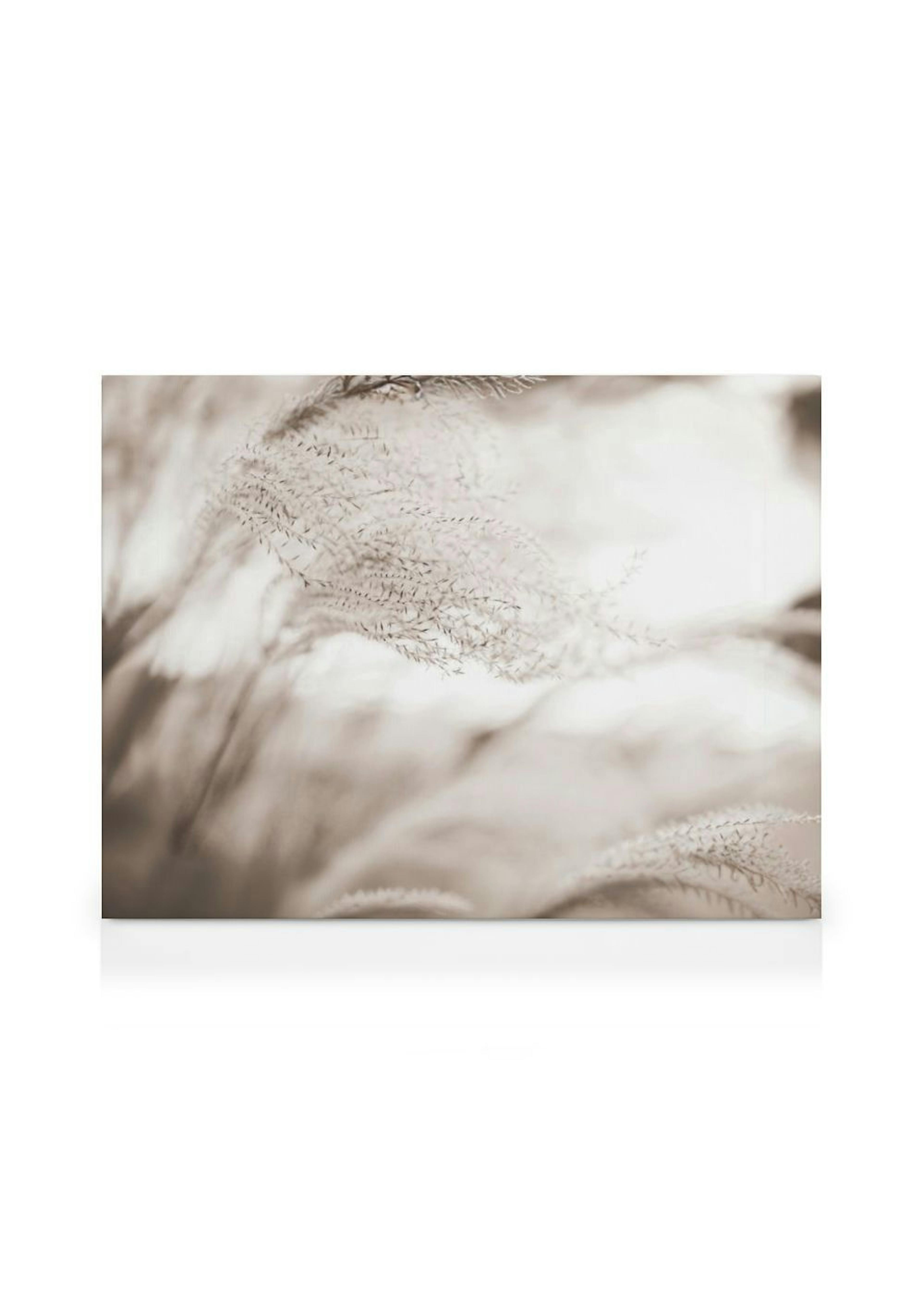 Reed in the Wind Toile thumbnail