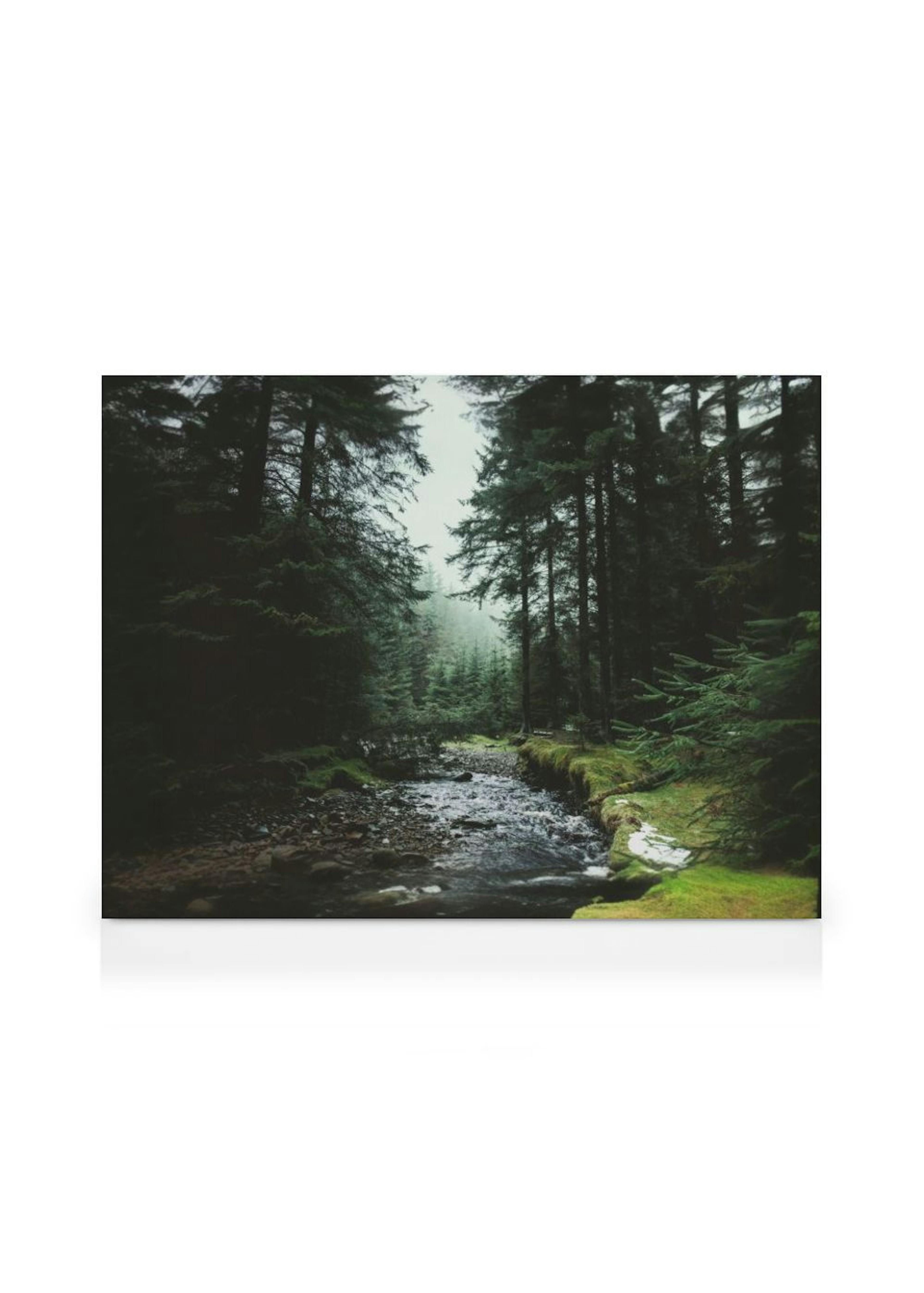 Springtime in Narnia Canvas thumbnail